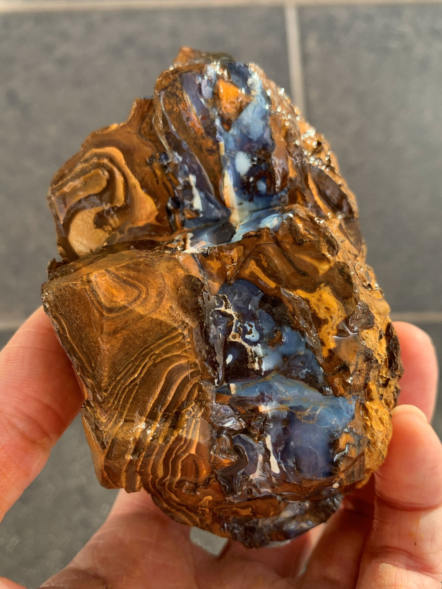 Wild Wonder. Rough Boulder Opal Rock. 448 Grams