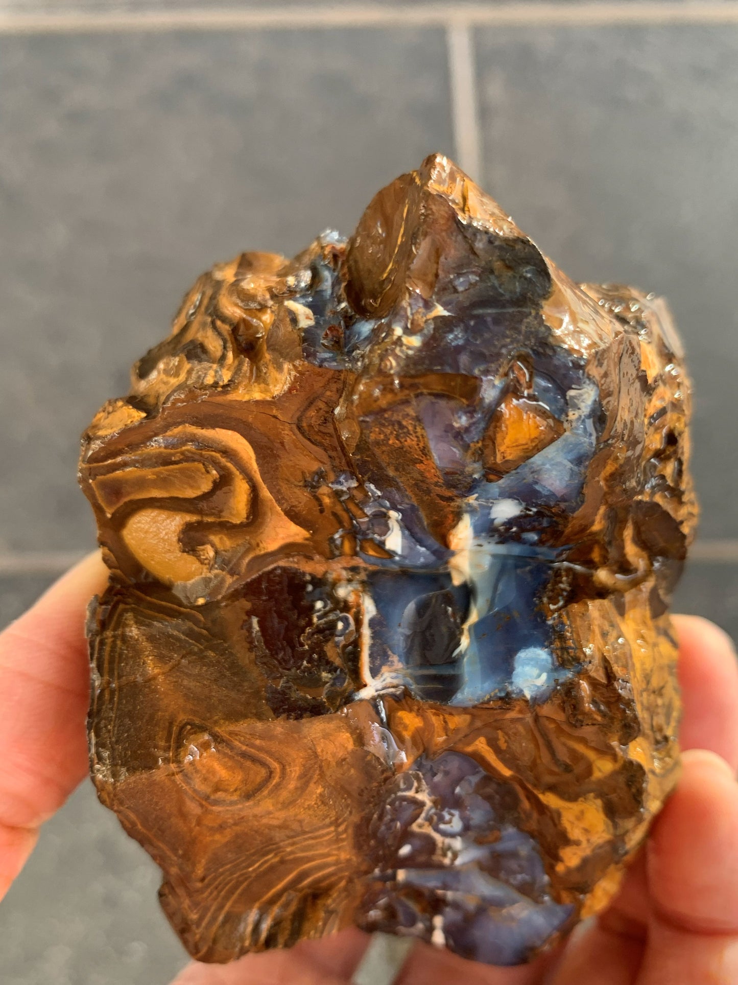 Wild Wonder. Rough Boulder Opal Rock. 448 Grams