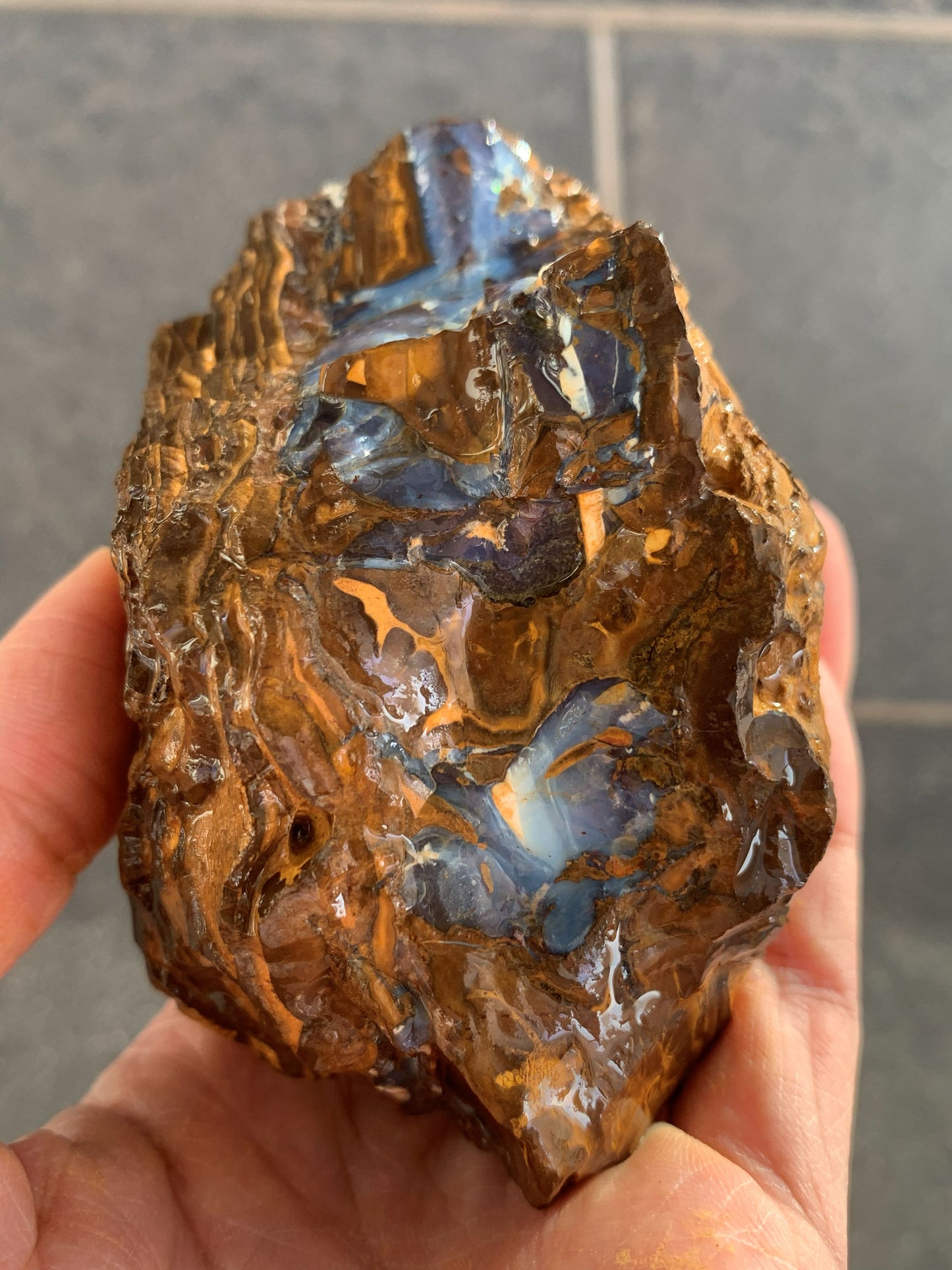 Wild Wonder. Rough Boulder Opal Rock. 448 Grams
