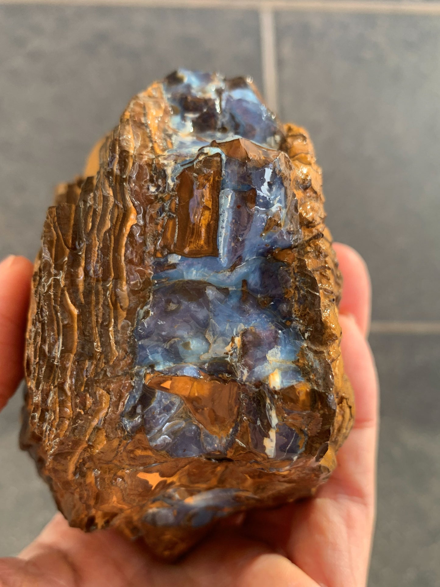 Wild Wonder. Rough Boulder Opal Rock. 448 Grams