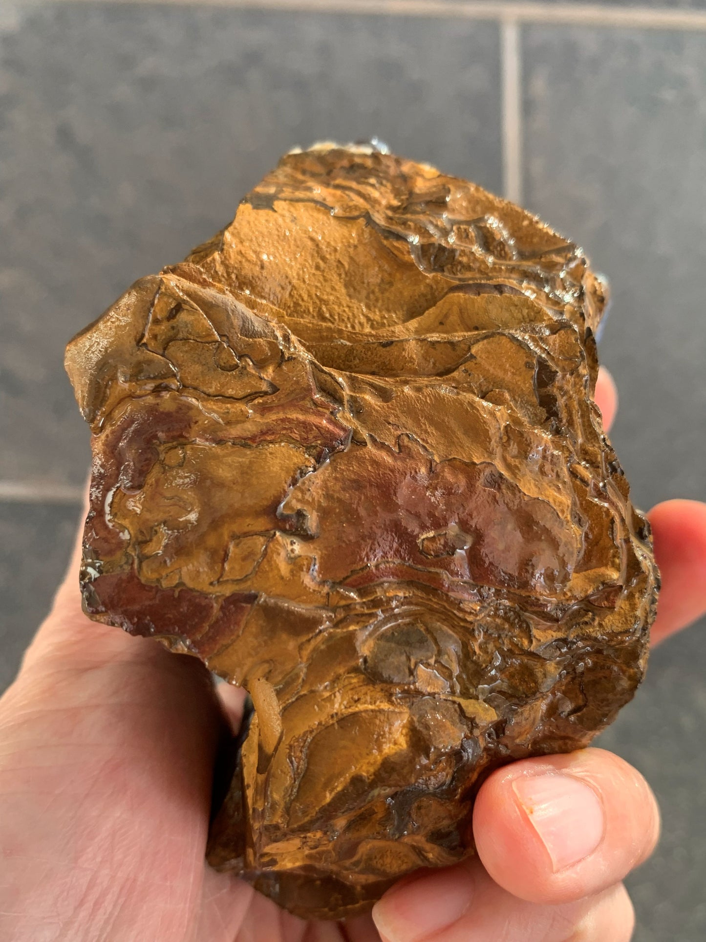 Wild Wonder. Rough Boulder Opal Rock. 448 Grams