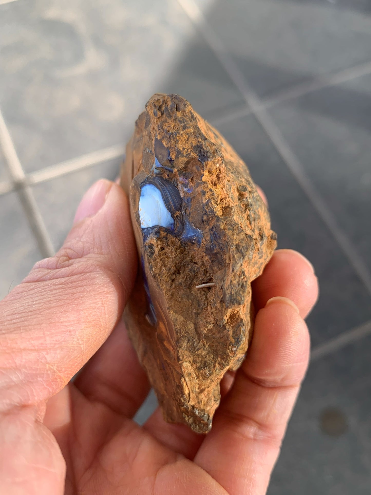 Sparkling Surprise. Rough Boulder Opal Rock. 113 Grams.