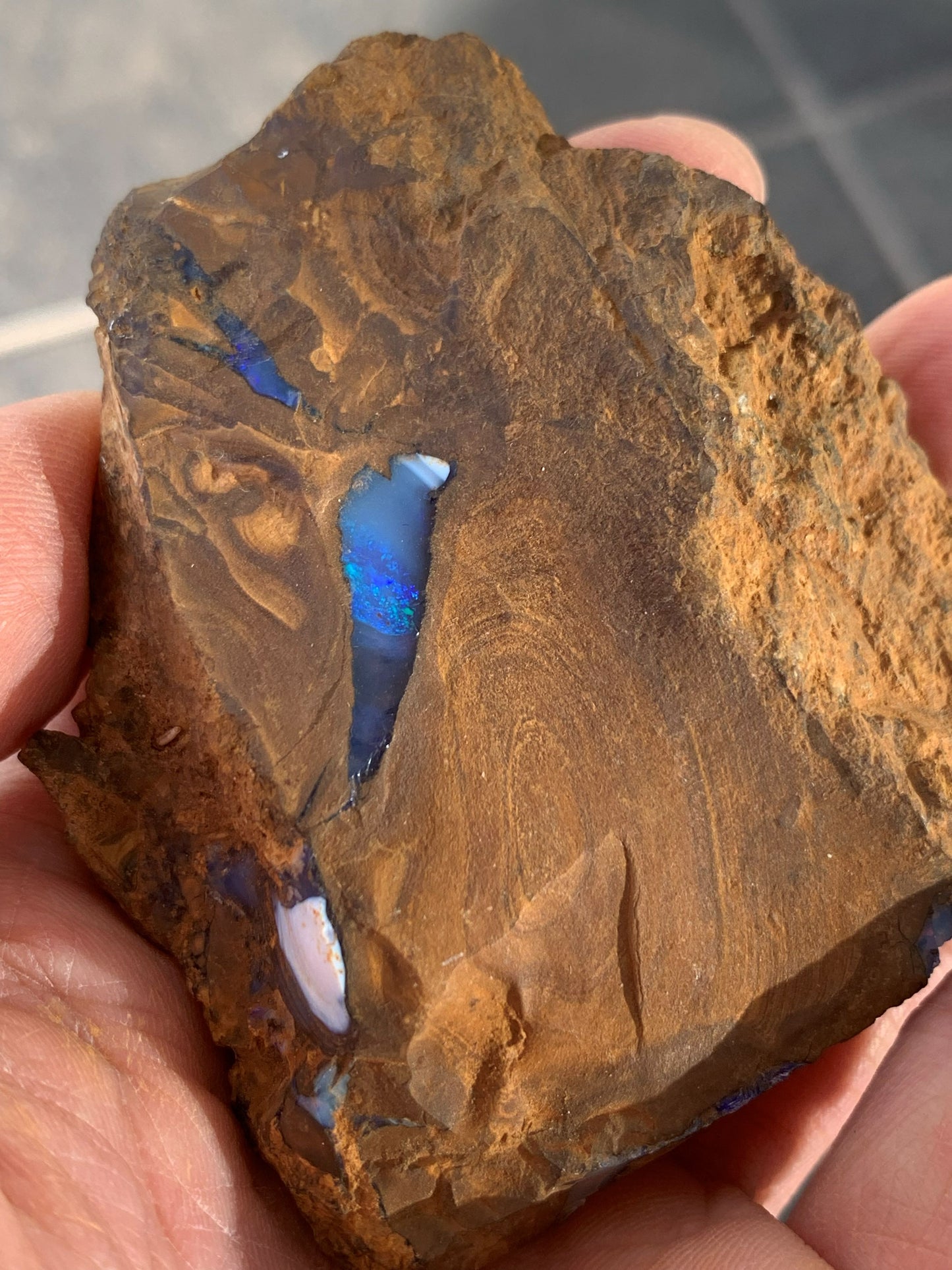 Sparkling Surprise. Rough Boulder Opal Rock. 113 Grams.