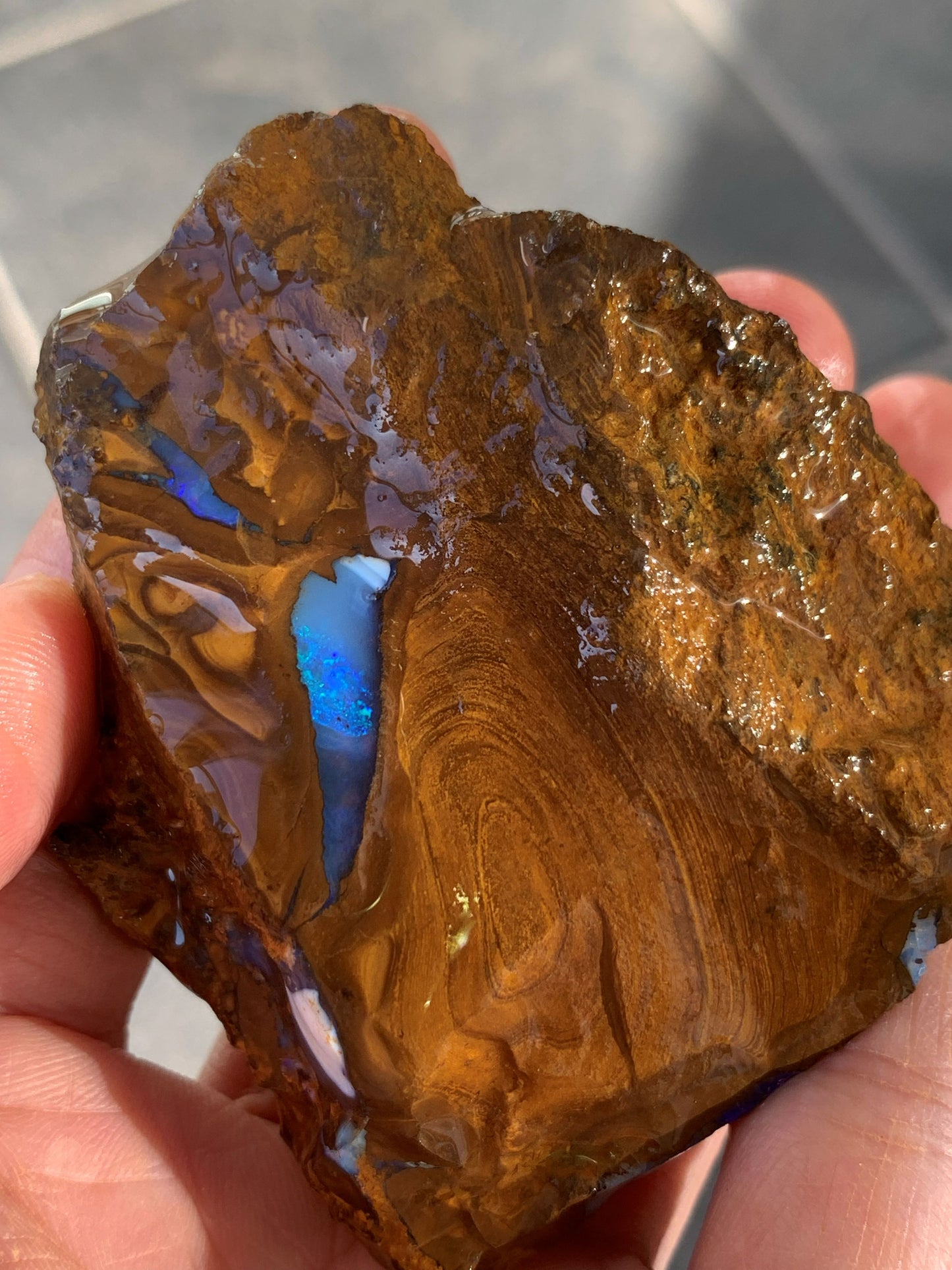 Sparkling Surprise. Rough Boulder Opal Rock. 113 Grams.