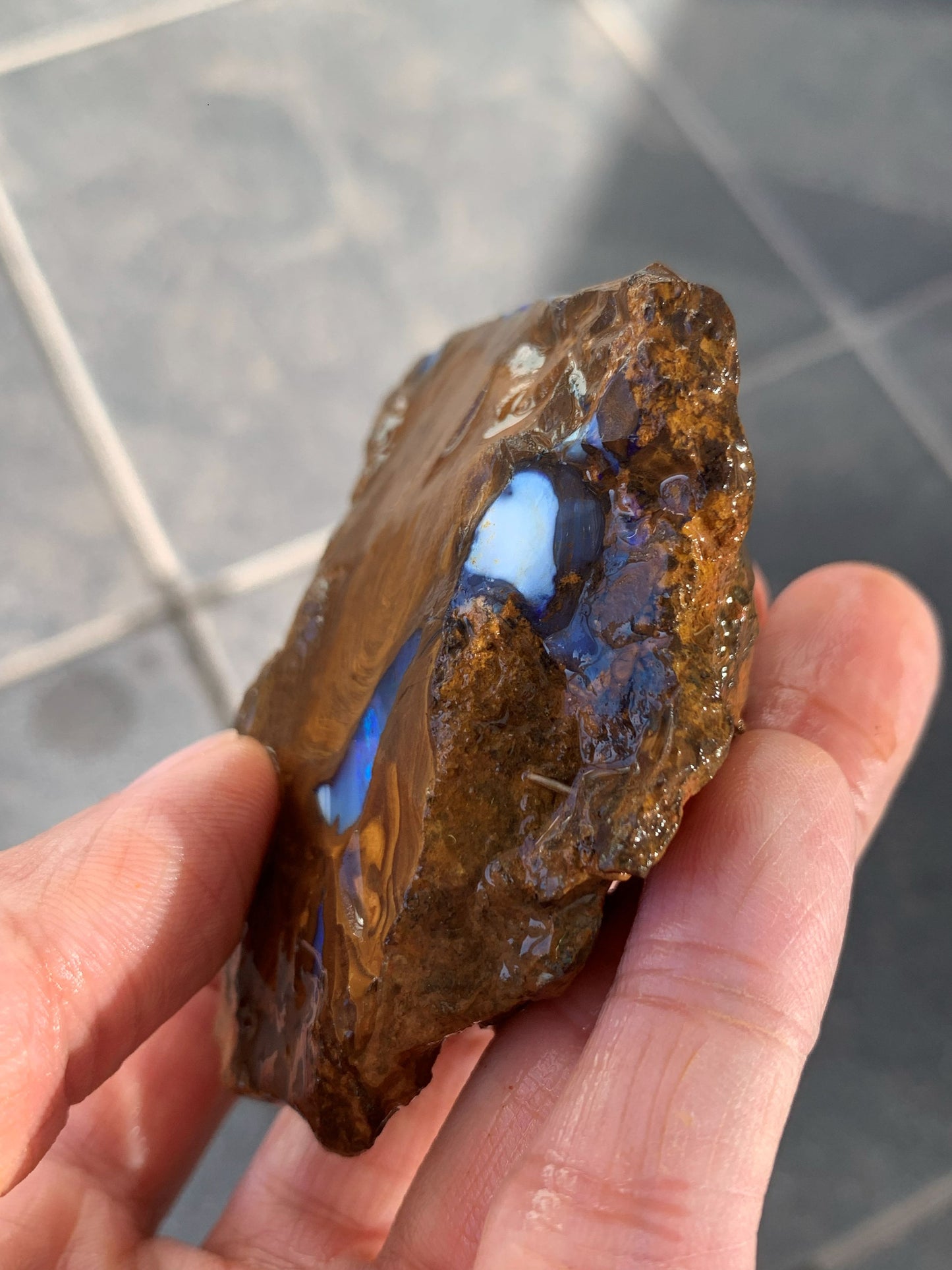 Sparkling Surprise. Rough Boulder Opal Rock. 113 Grams.