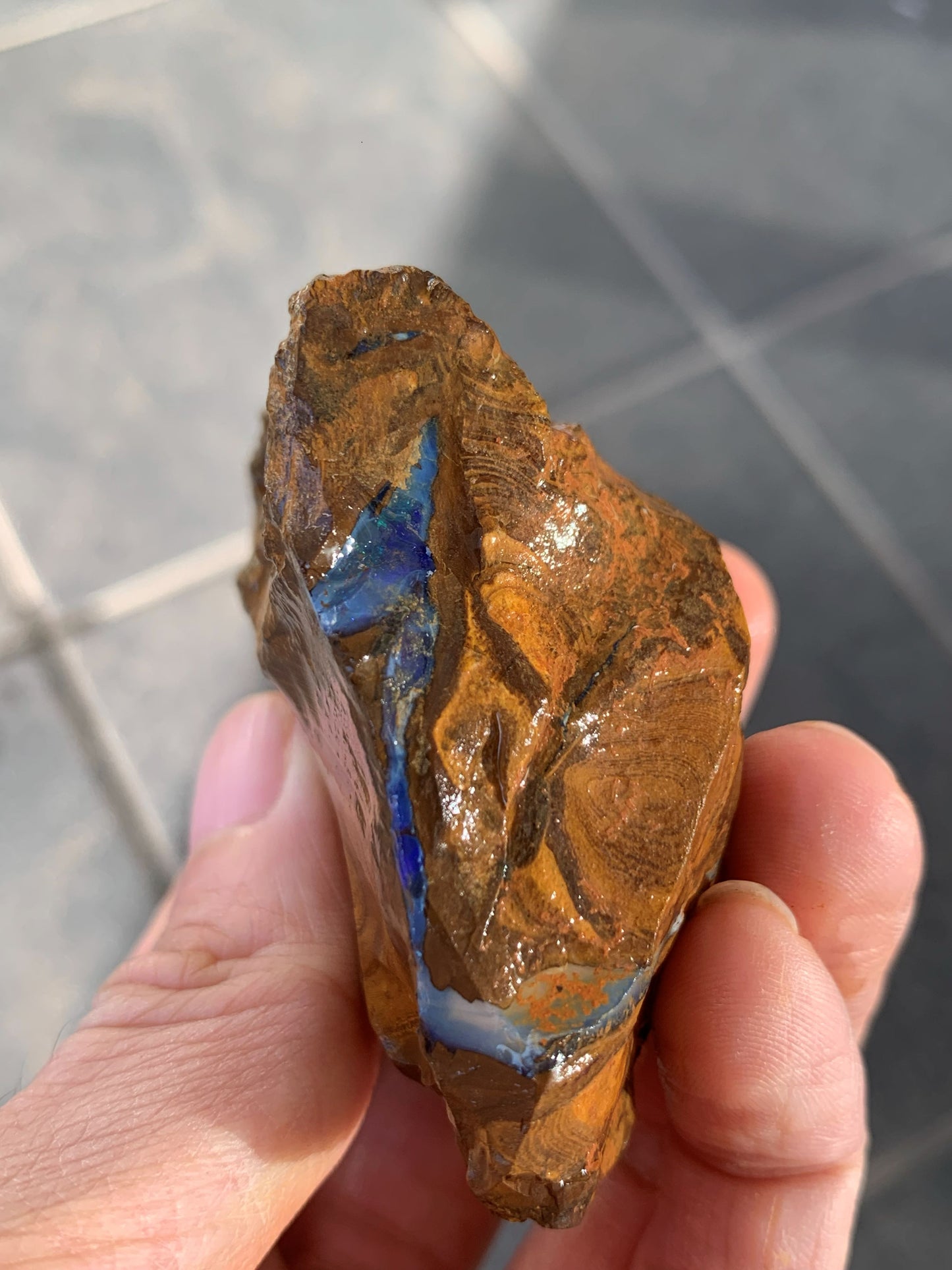 Sparkling Surprise. Rough Boulder Opal Rock. 113 Grams.