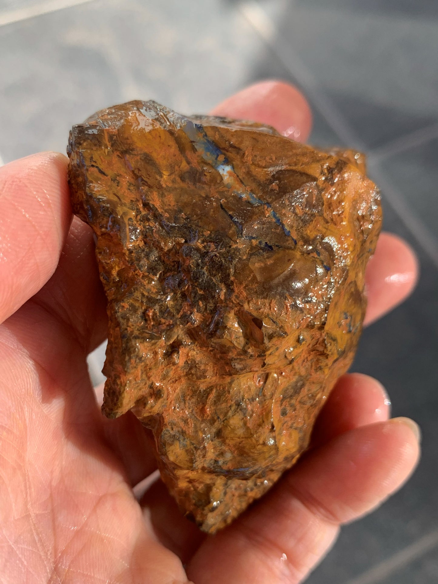 Sparkling Surprise. Rough Boulder Opal Rock. 113 Grams.