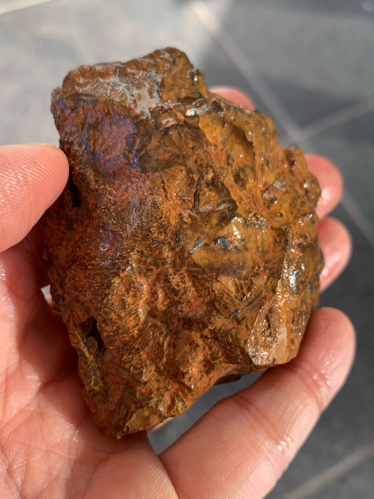 Sparkling Surprise. Rough Boulder Opal Rock. 113 Grams.