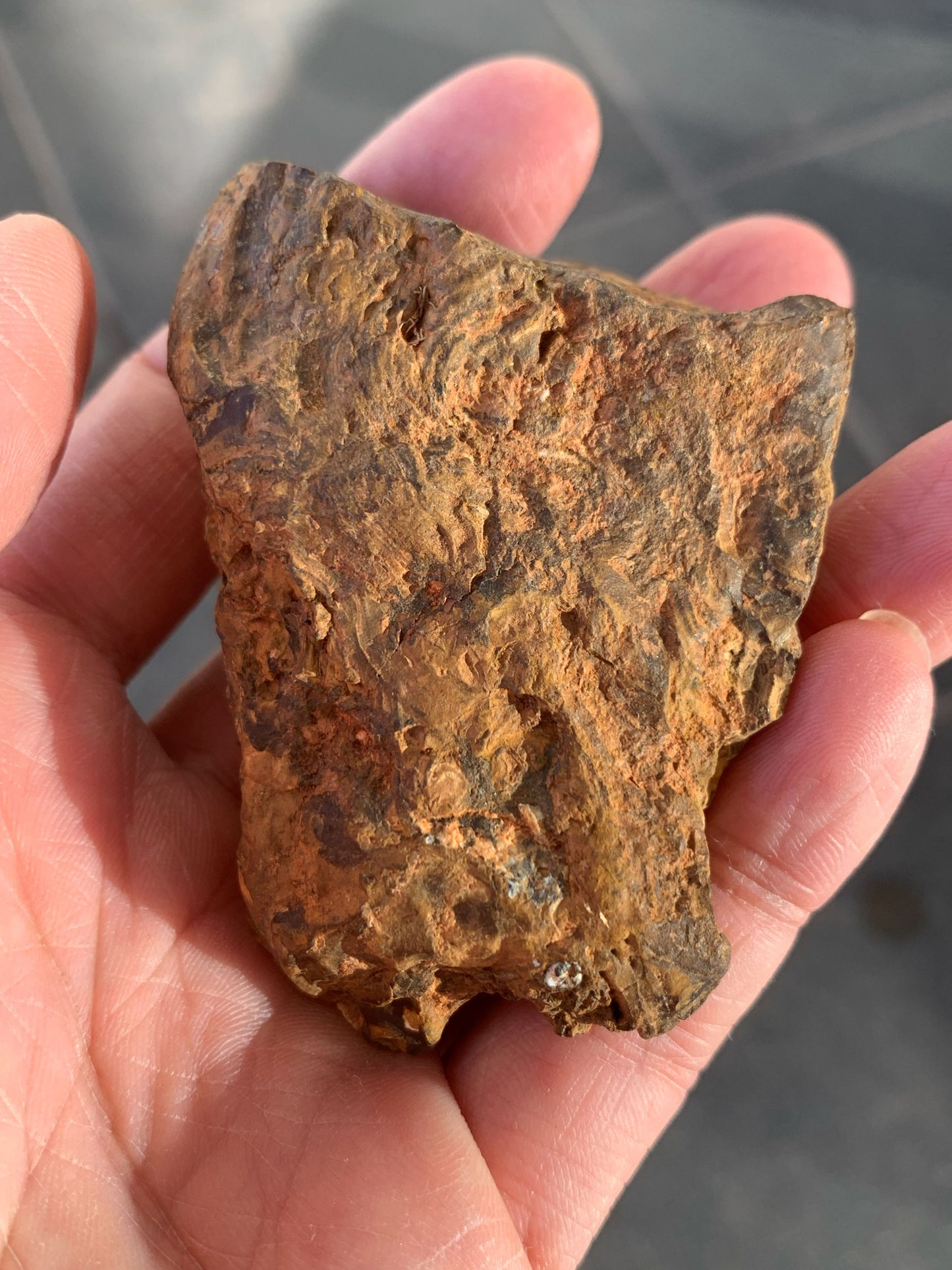 Starter Rock. Rough Boulder Opal Rock. 87 Grams.