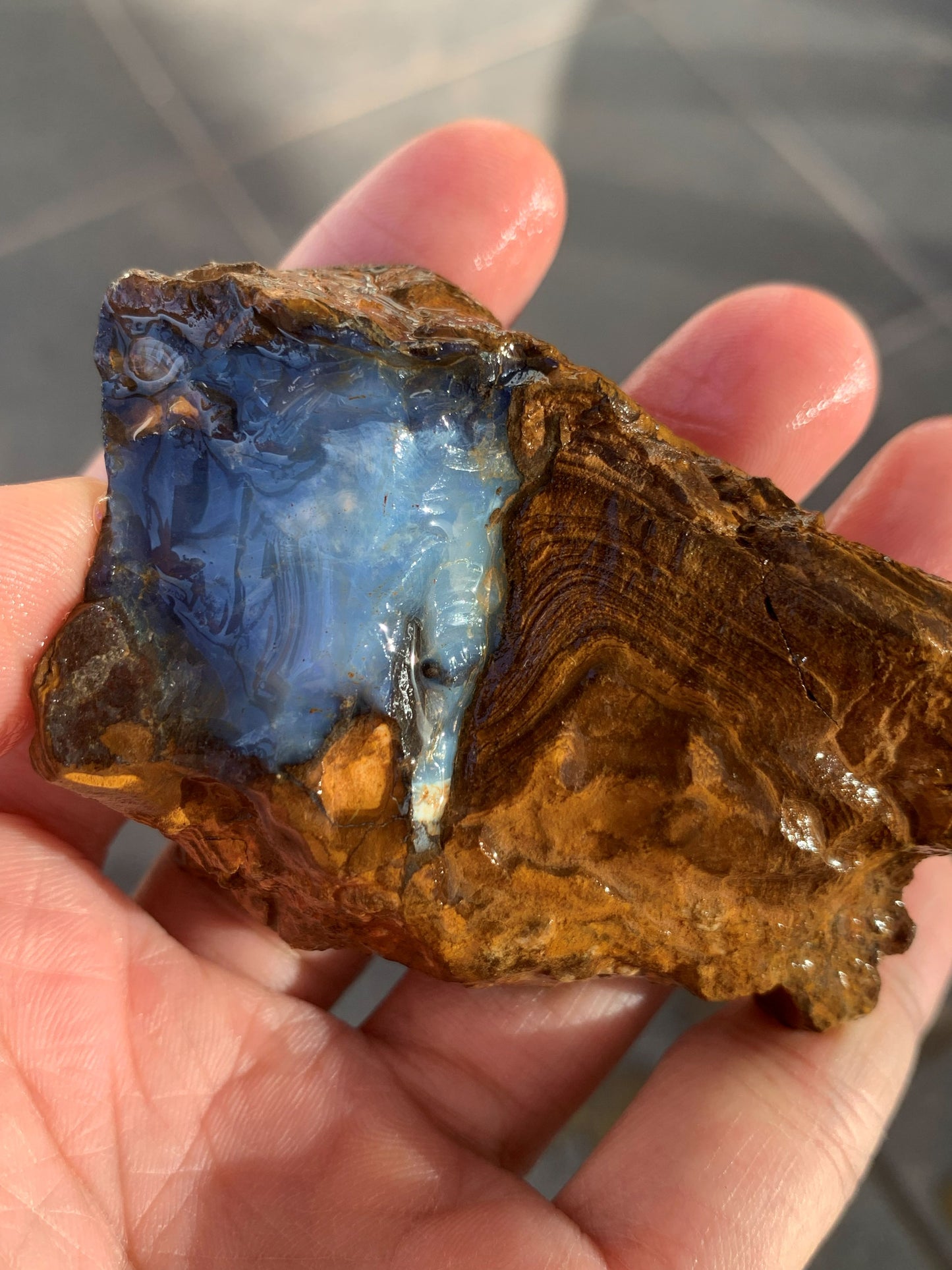 Starter Rock. Rough Boulder Opal Rock. 87 Grams.
