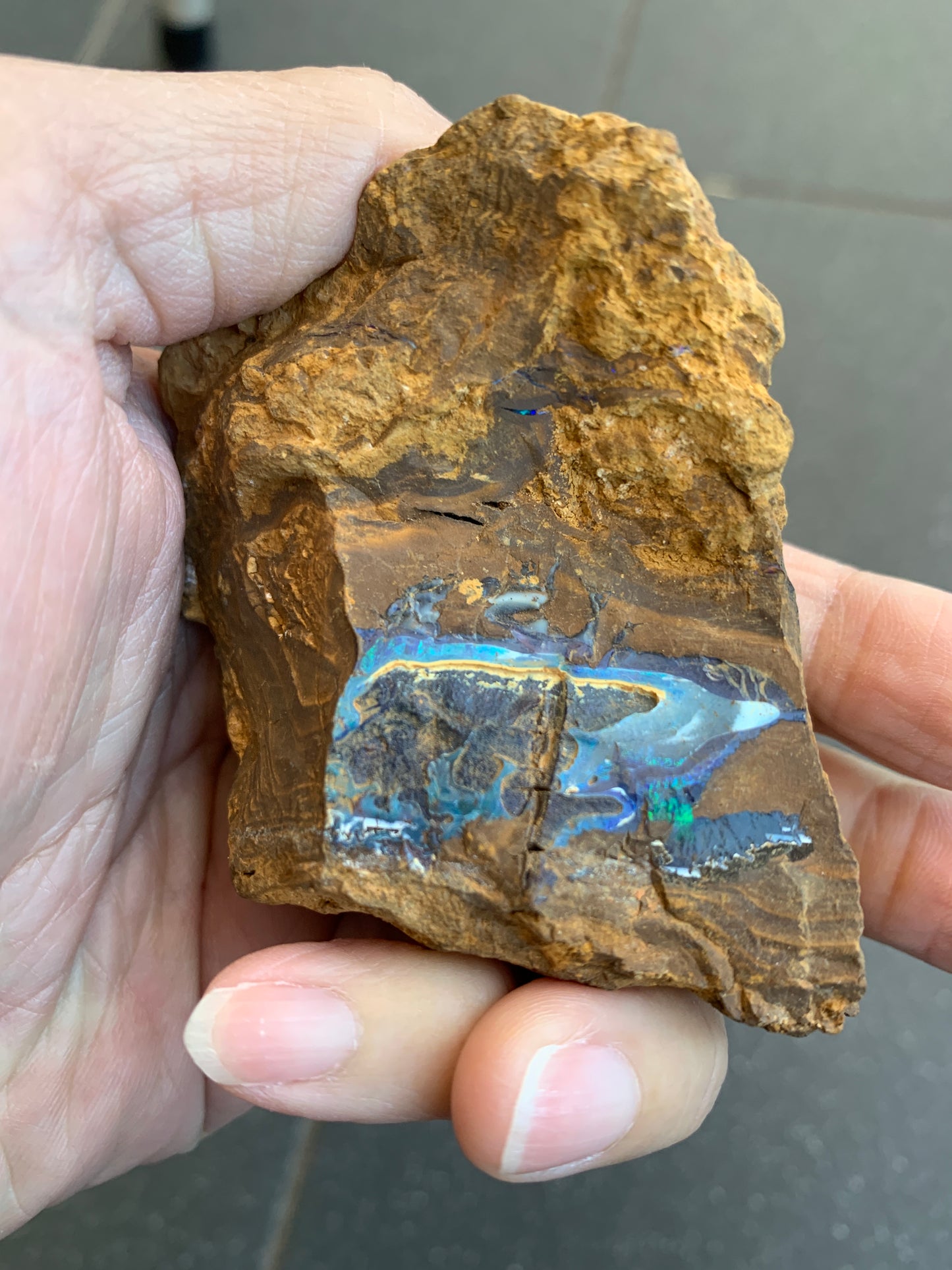 Green Set. Rough Boulder Opal Rocks. 326 Grams.