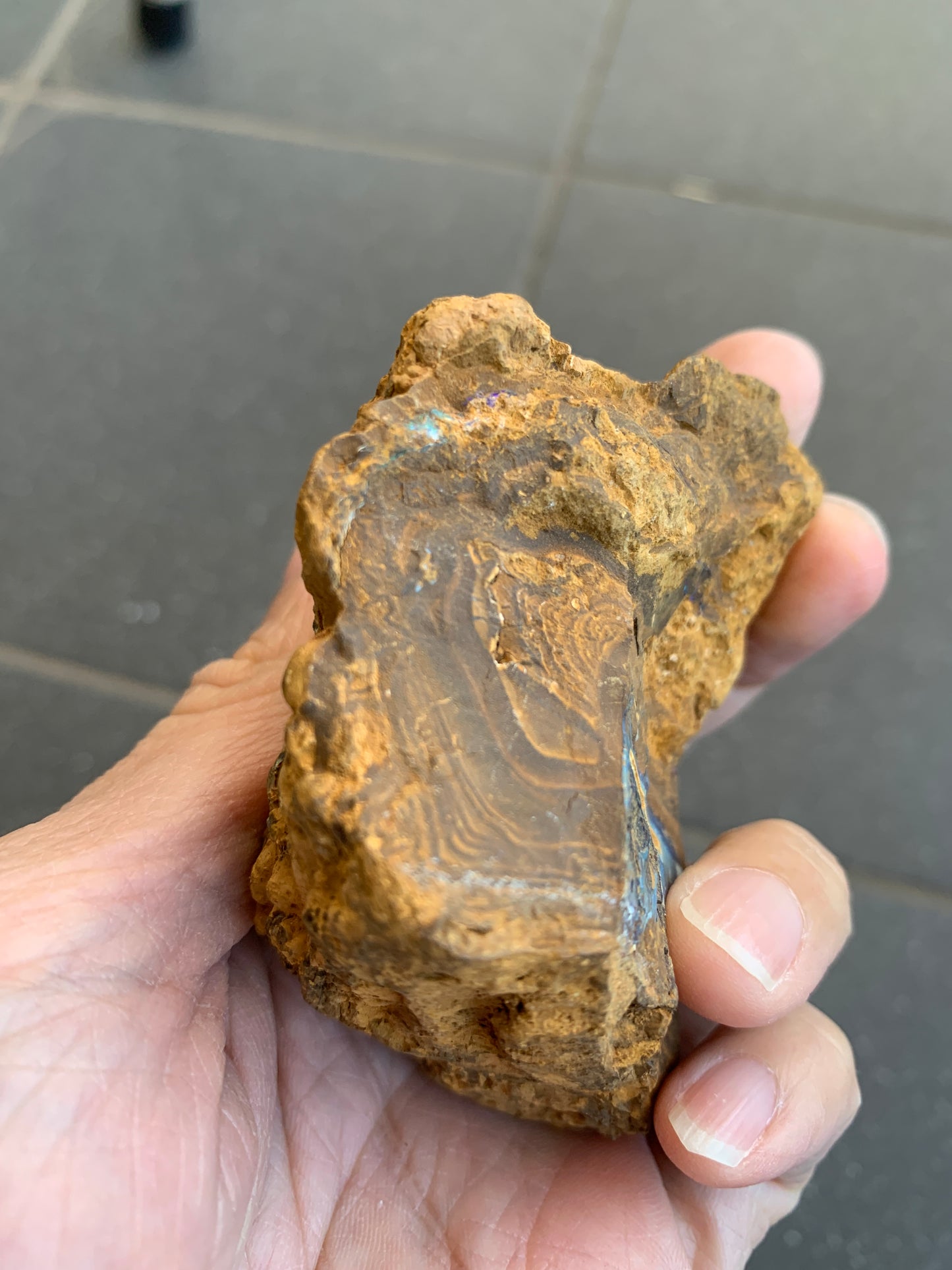 Green Set. Rough Boulder Opal Rocks. 326 Grams.