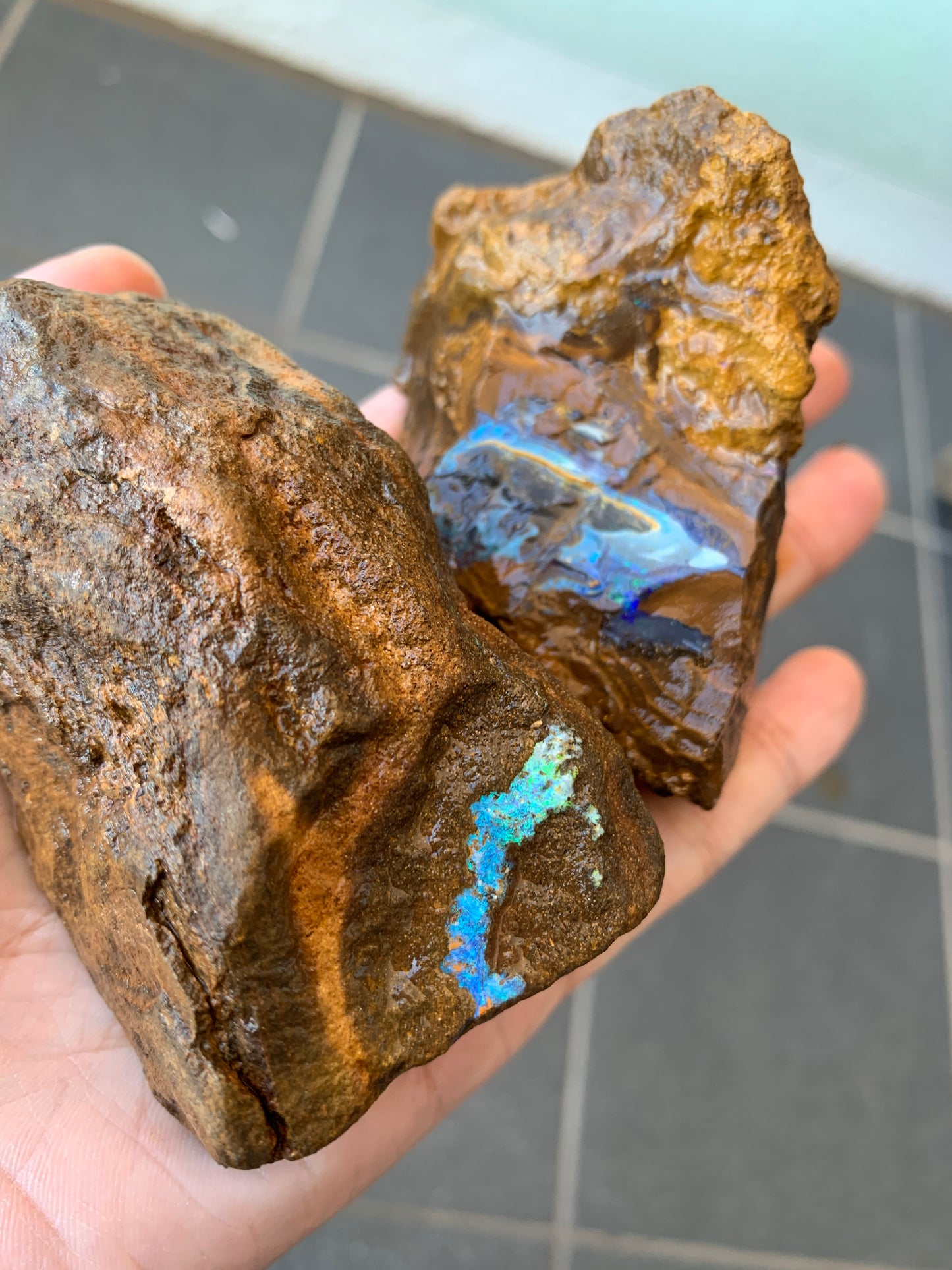 Green Set. Rough Boulder Opal Rocks. 326 Grams.