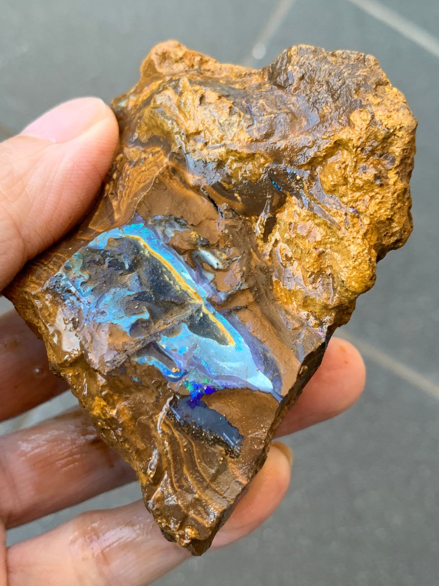 Green Set. Rough Boulder Opal Rocks. 326 Grams.