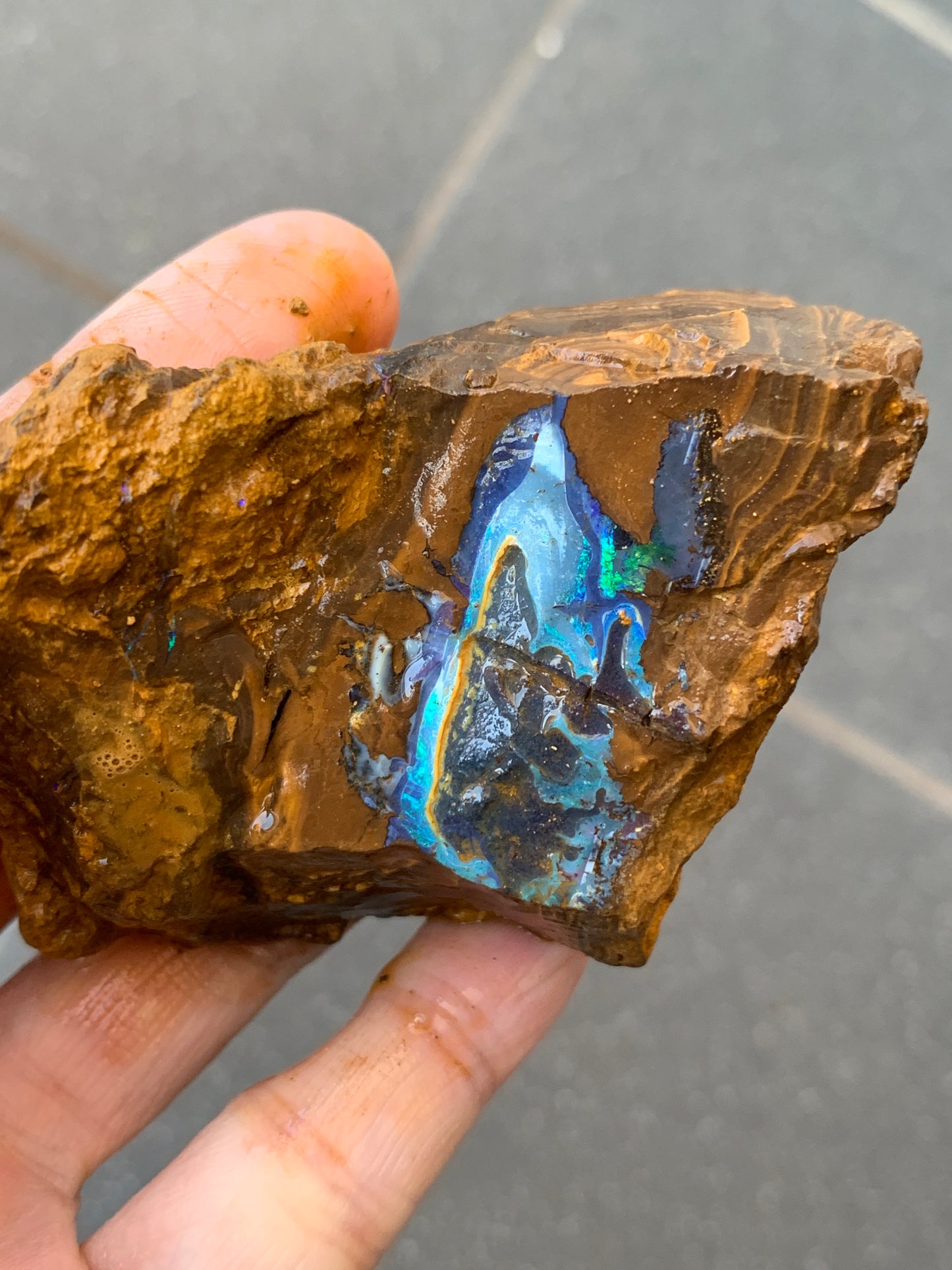 Green Set. Rough Boulder Opal Rocks. 326 Grams.