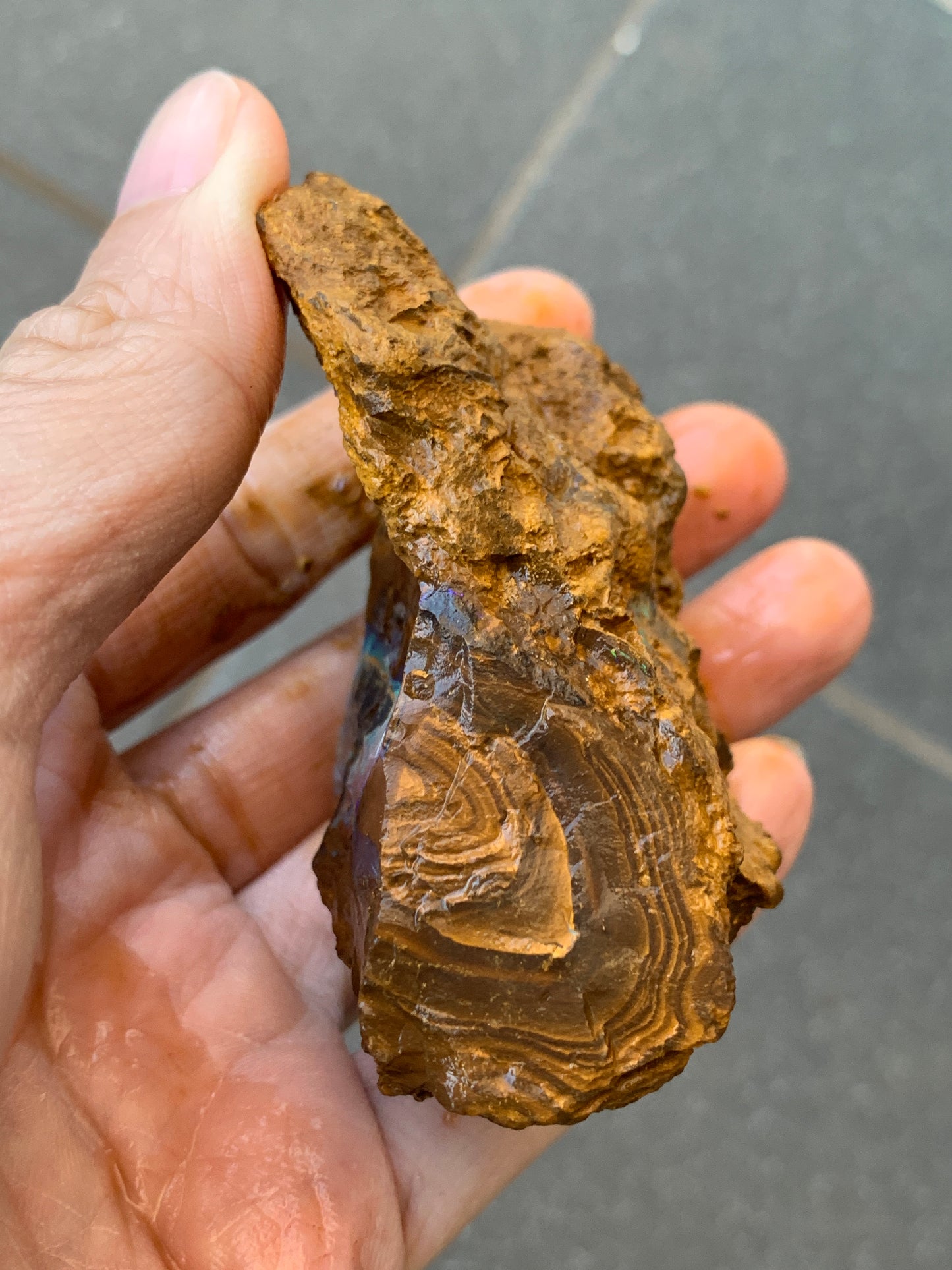 Green Set. Rough Boulder Opal Rocks. 326 Grams.