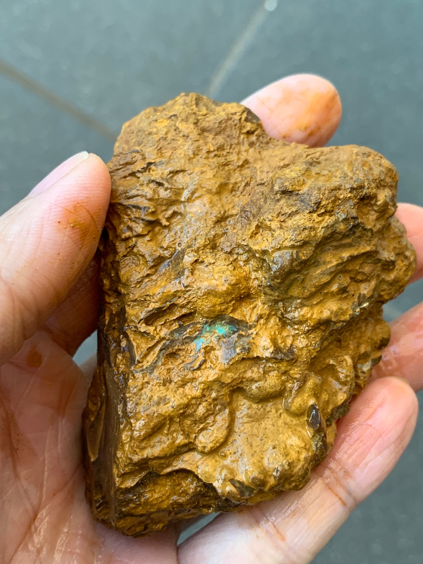Green Set. Rough Boulder Opal Rocks. 326 Grams.