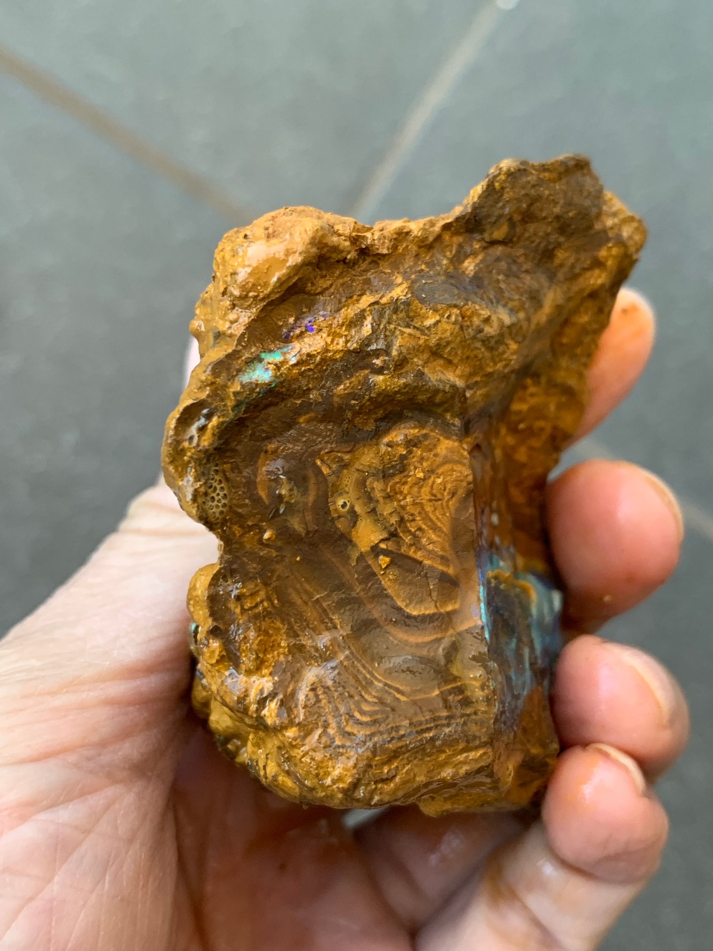 Green Set. Rough Boulder Opal Rocks. 326 Grams.