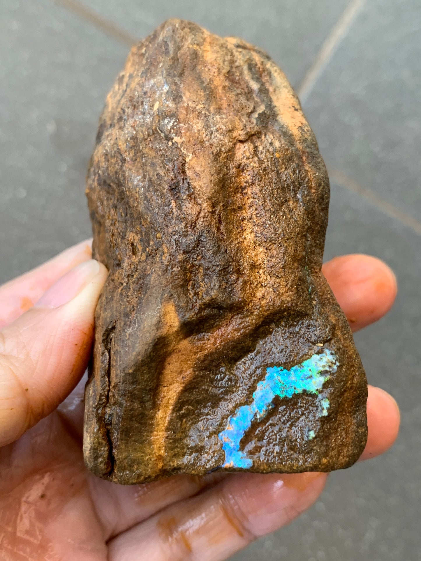 Green Set. Rough Boulder Opal Rocks. 326 Grams.