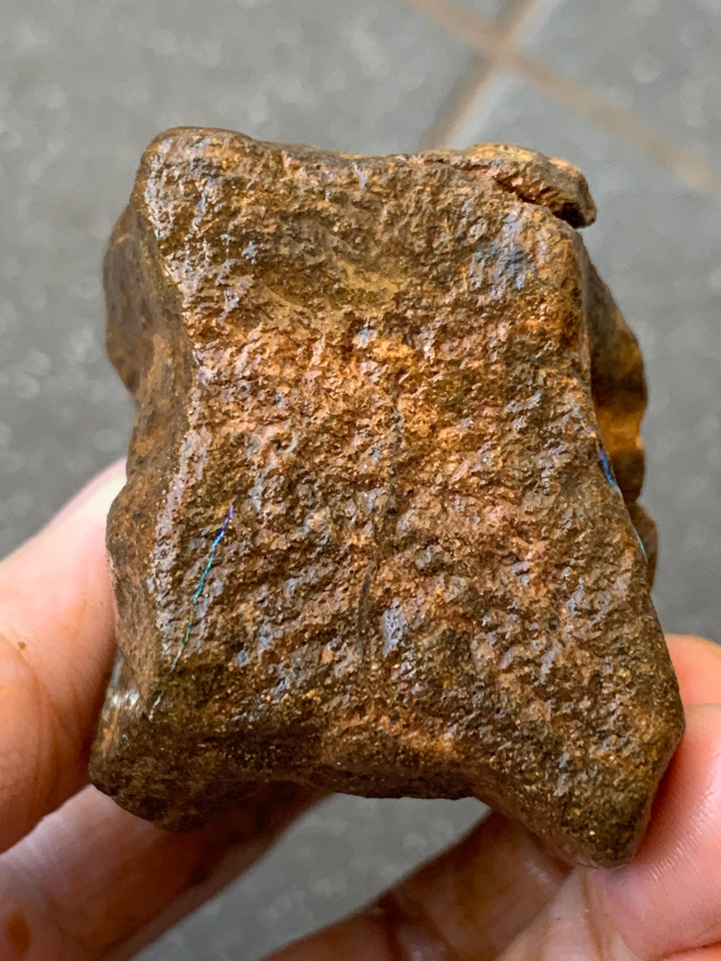 Green Set. Rough Boulder Opal Rocks. 326 Grams.