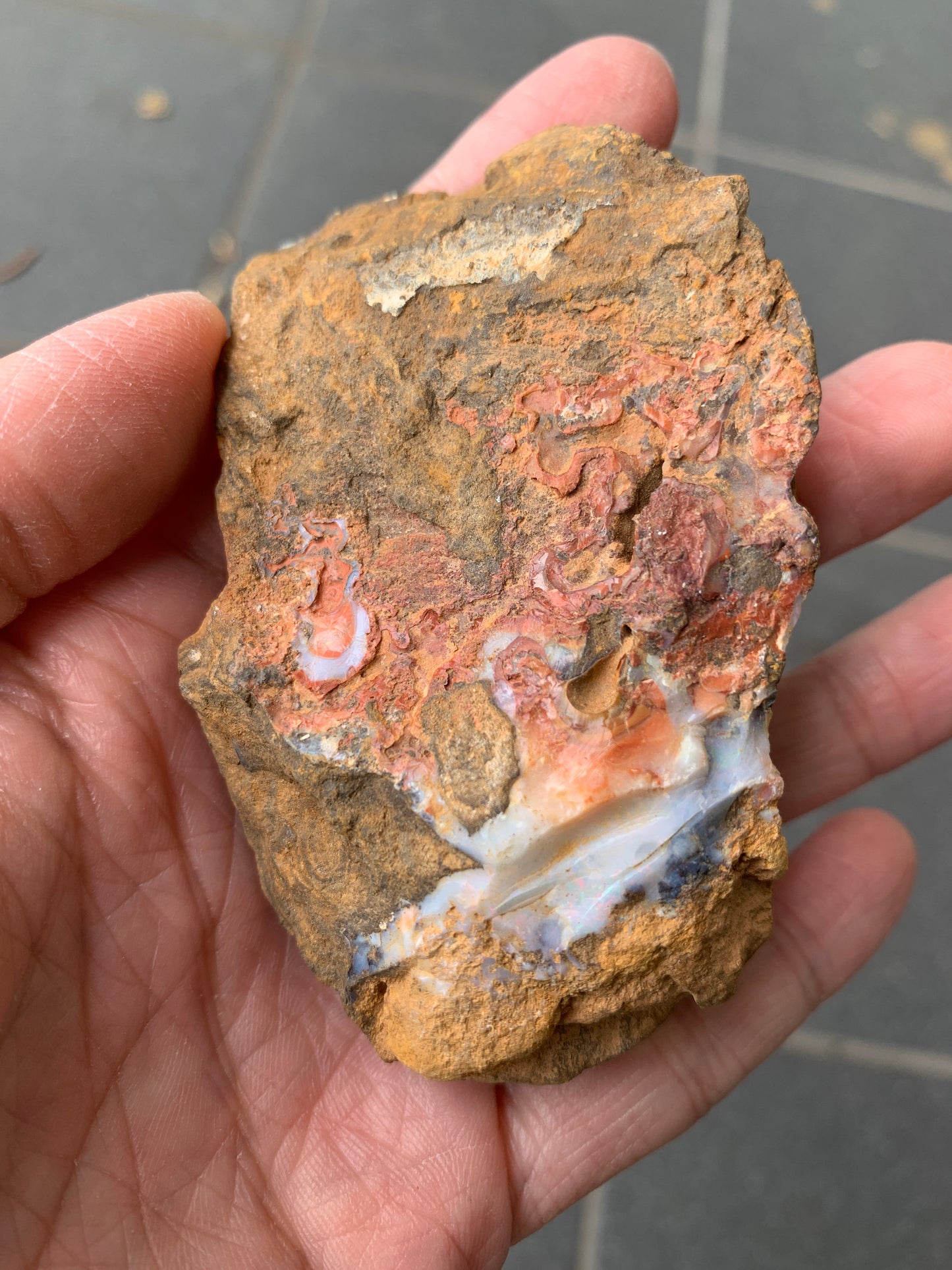 Red Sparkles + Free Rock. Rough Boulder Opal. 267 Grams.