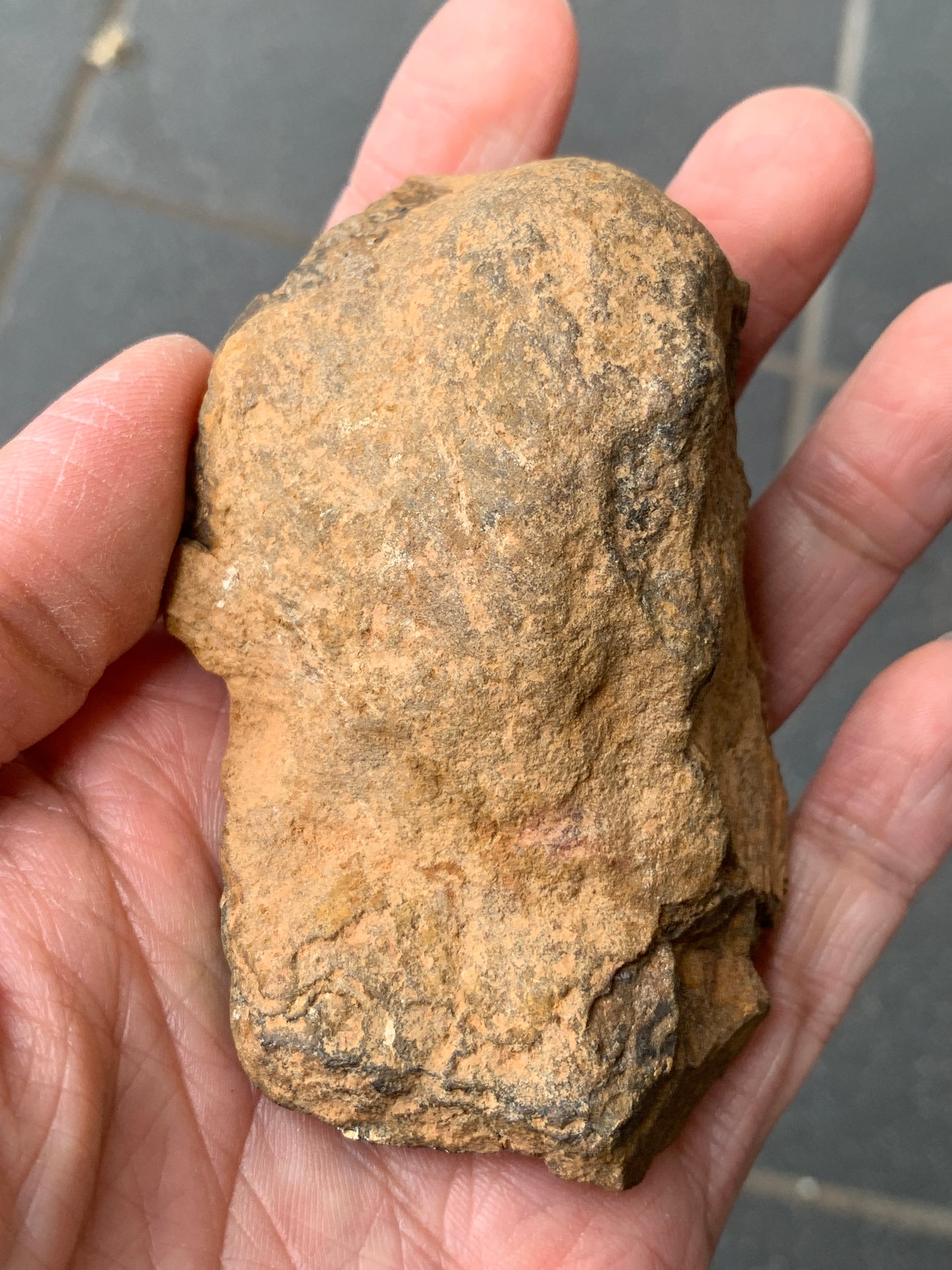 Red Sparkles + Free Rock. Rough Boulder Opal. 267 Grams.