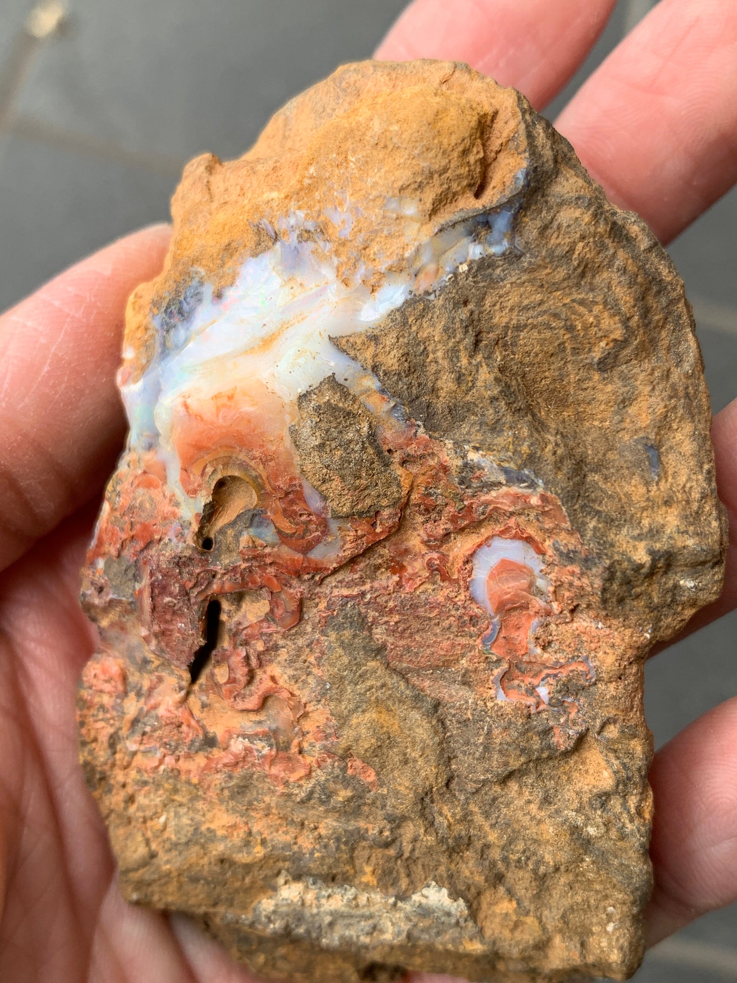 Red Sparkles + Free Rock. Rough Boulder Opal. 267 Grams.