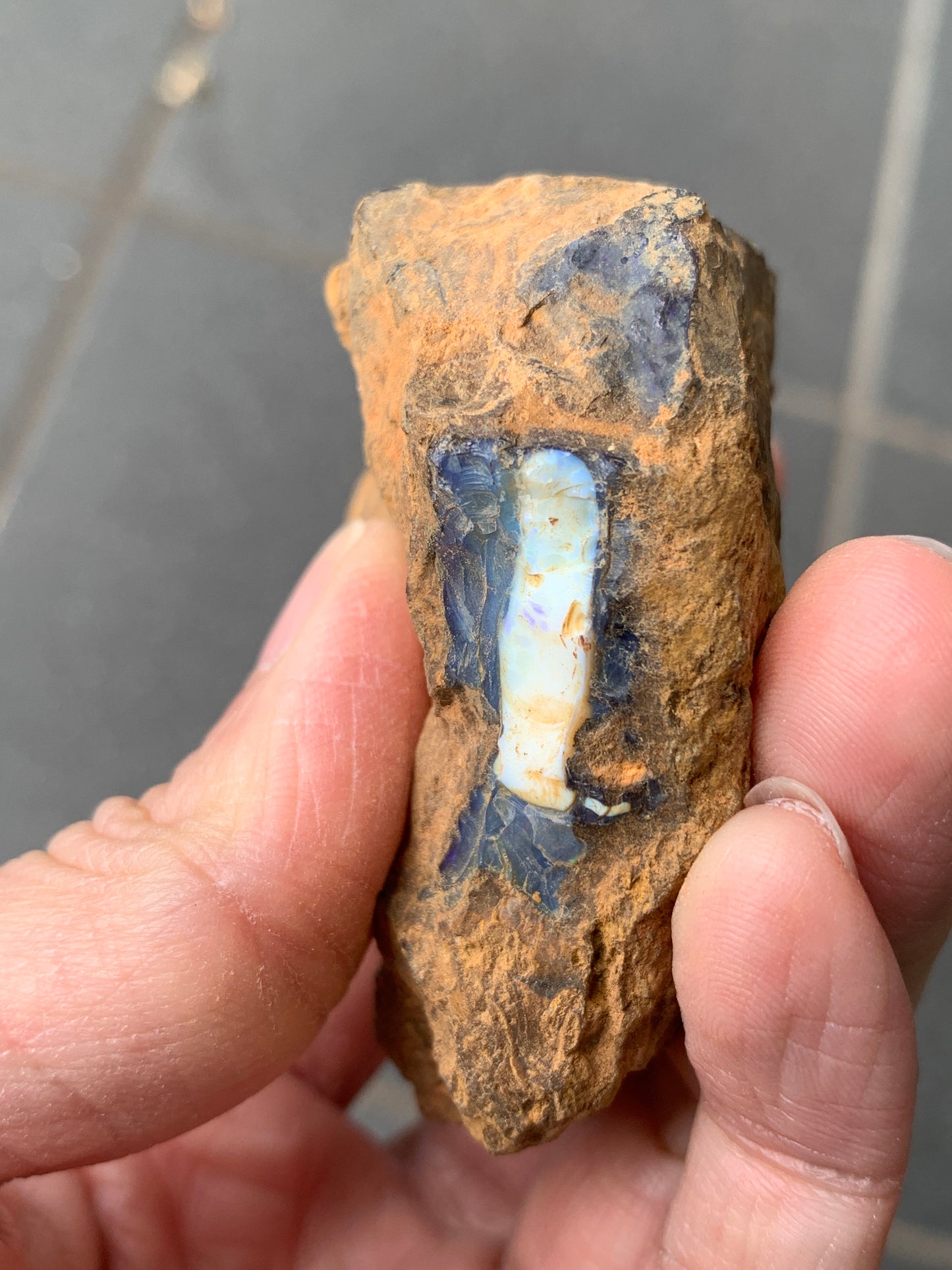 Red Sparkles + Free Rock. Rough Boulder Opal. 267 Grams.