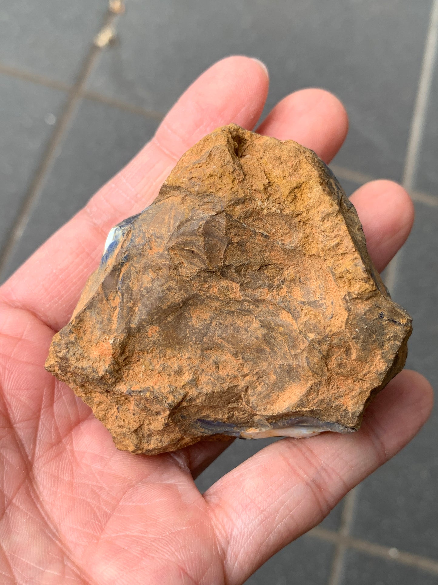 Red Sparkles + Free Rock. Rough Boulder Opal. 267 Grams.