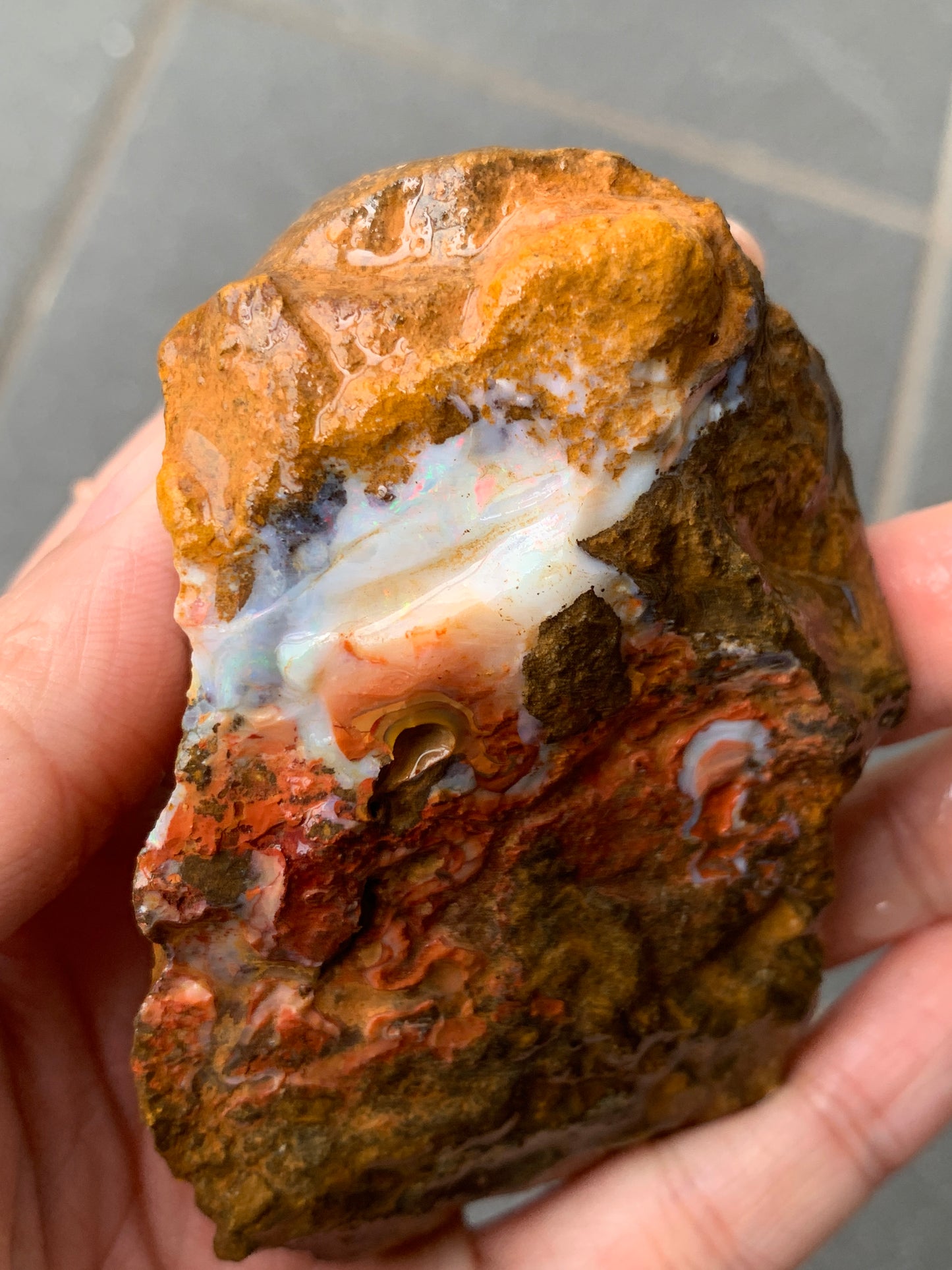 Red Sparkles + Free Rock. Rough Boulder Opal. 267 Grams.