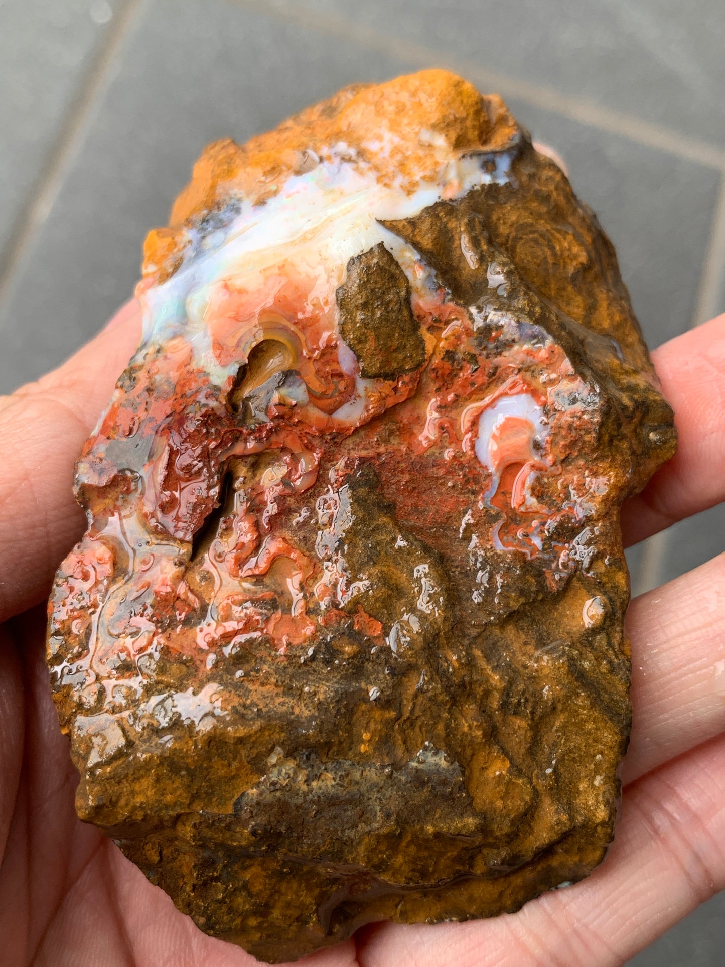 Red Sparkles + Free Rock. Rough Boulder Opal. 267 Grams.