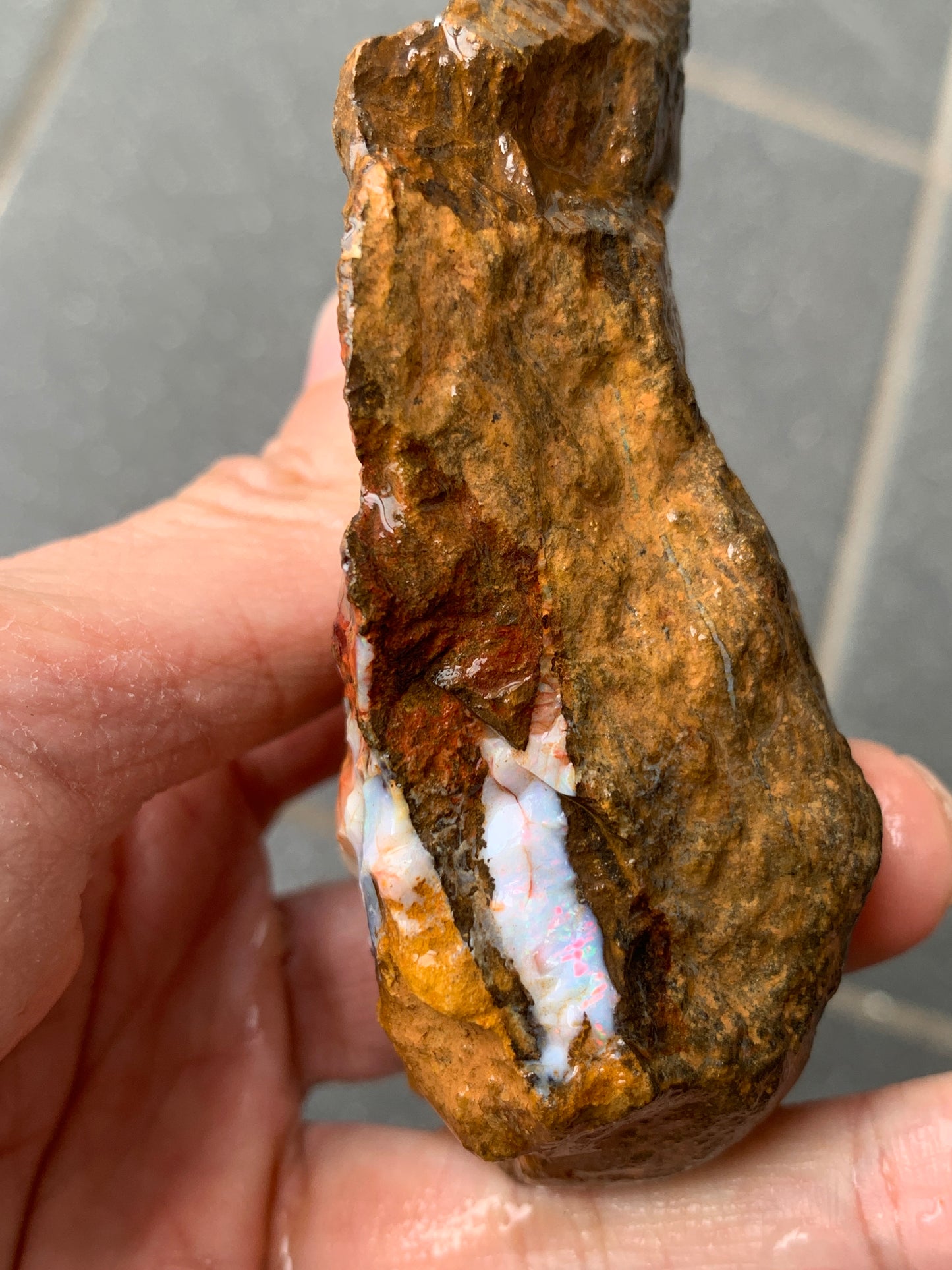 Red Sparkles + Free Rock. Rough Boulder Opal. 267 Grams.