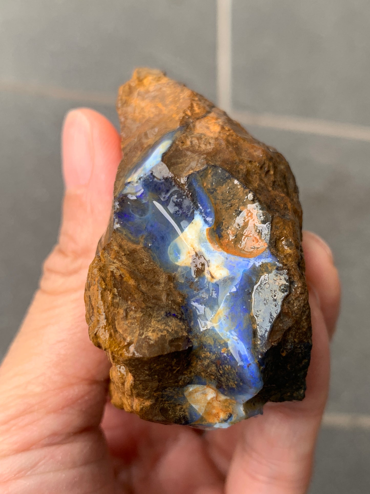 Red Sparkles + Free Rock. Rough Boulder Opal. 267 Grams.