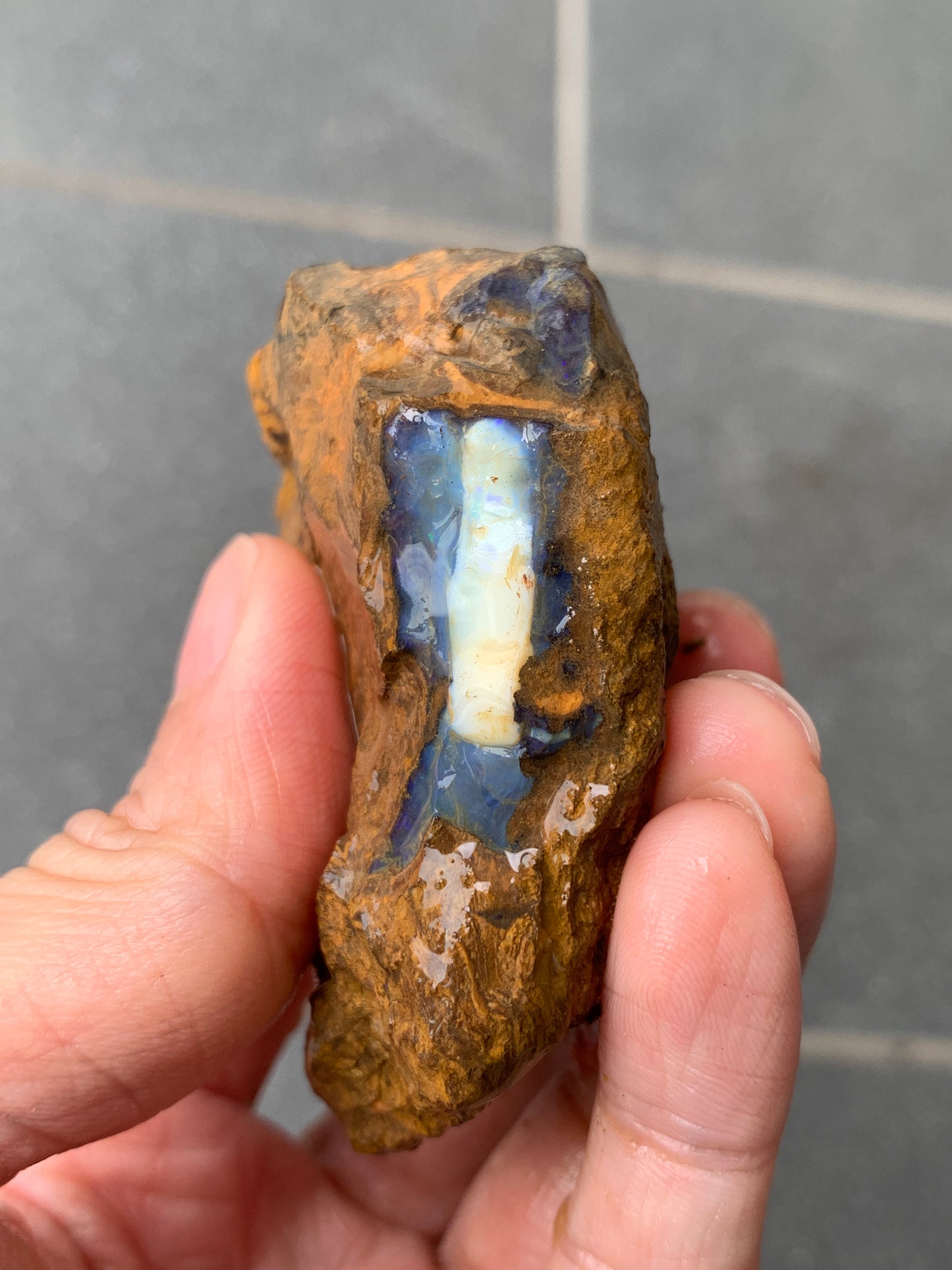 Red Sparkles + Free Rock. Rough Boulder Opal. 267 Grams.
