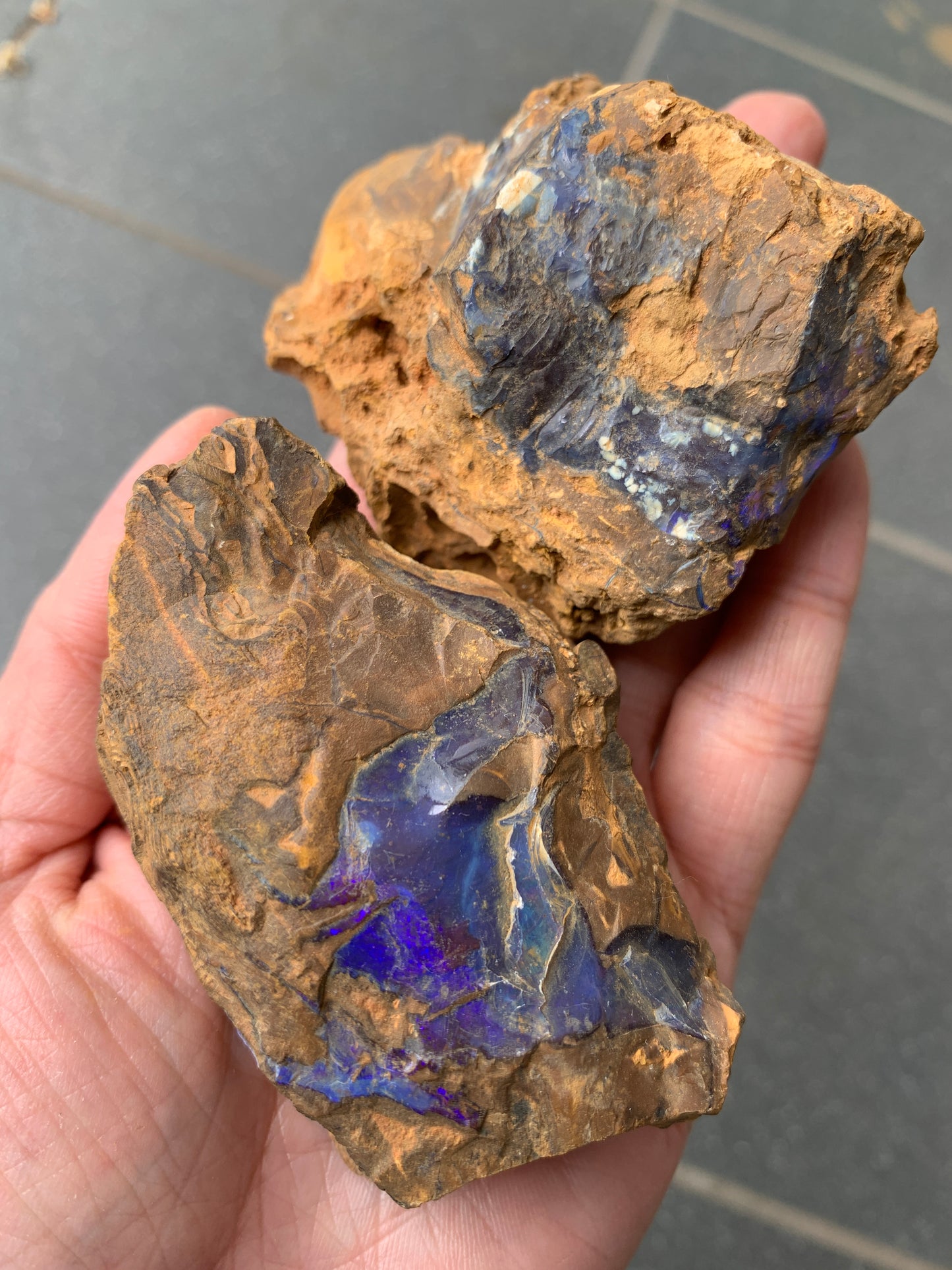 Purple Glow + Free Rock. Rough Boulder Opal. 296 Grams.