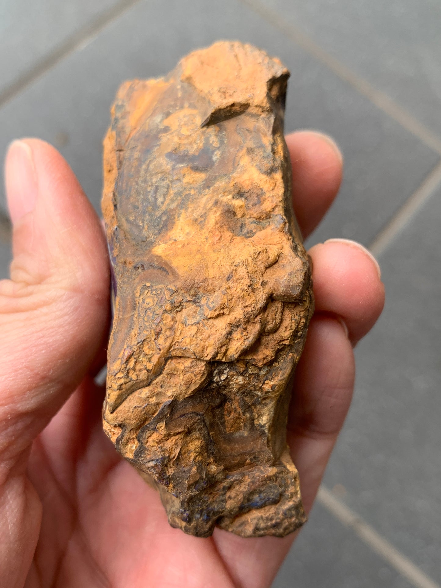 Purple Glow + Free Rock. Rough Boulder Opal. 296 Grams.