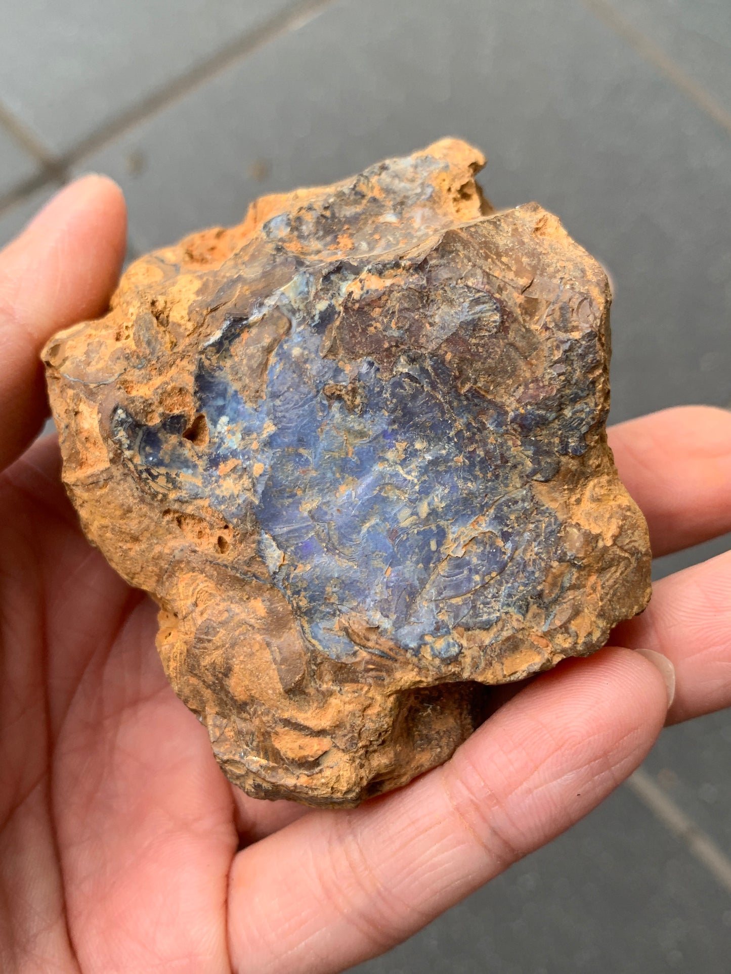 Purple Glow + Free Rock. Rough Boulder Opal. 296 Grams.