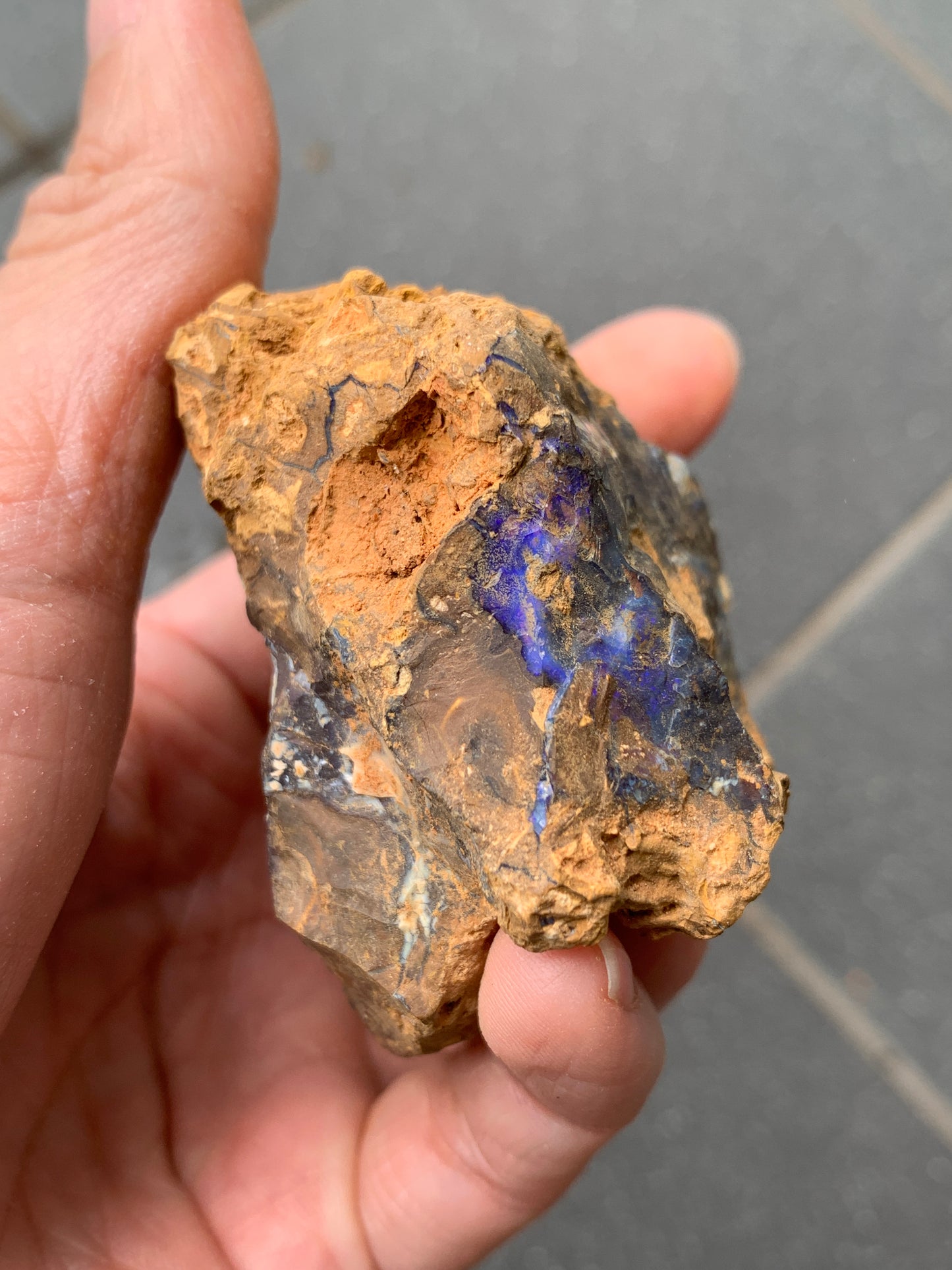 Purple Glow + Free Rock. Rough Boulder Opal. 296 Grams.