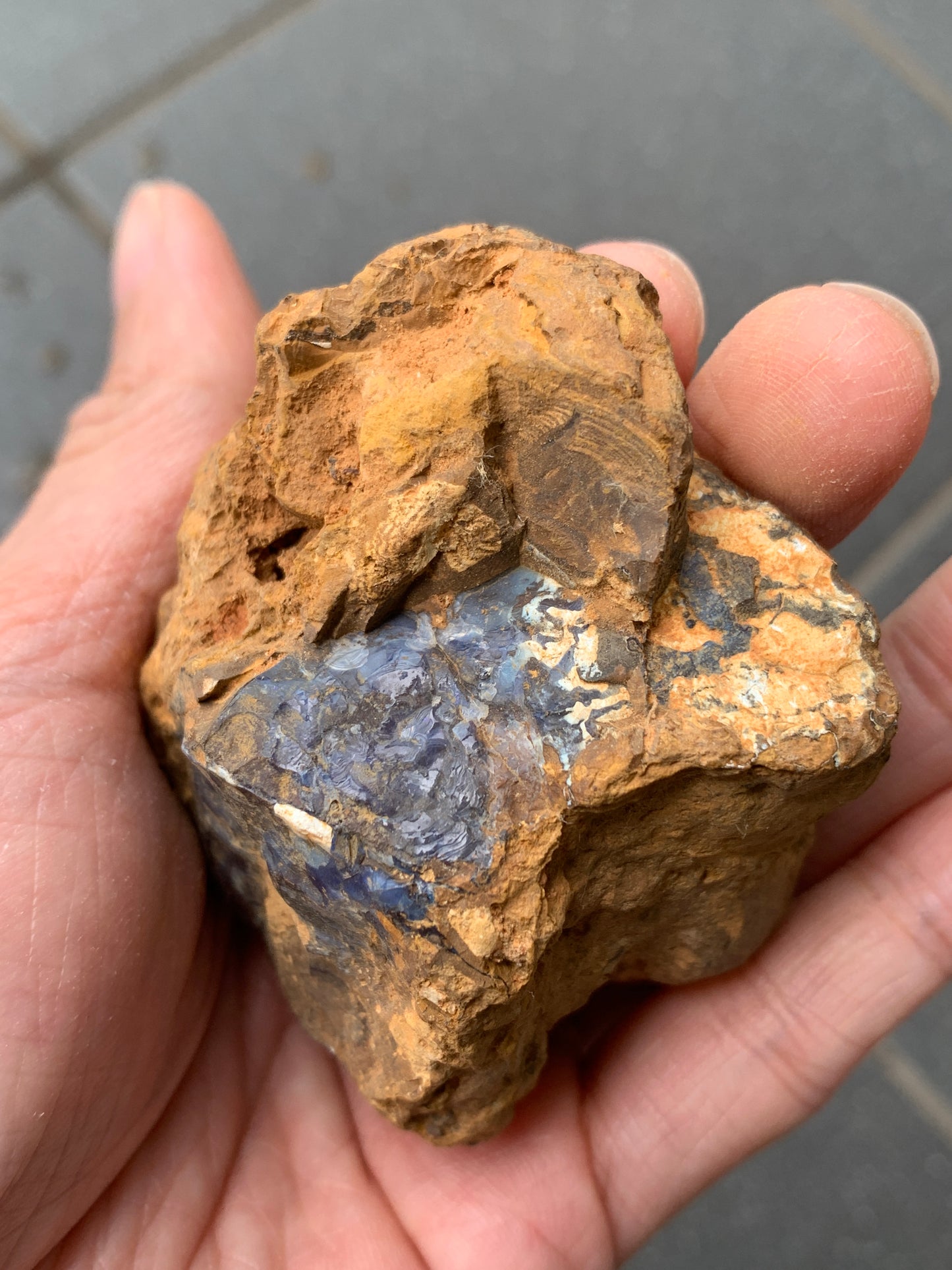 Purple Glow + Free Rock. Rough Boulder Opal. 296 Grams.