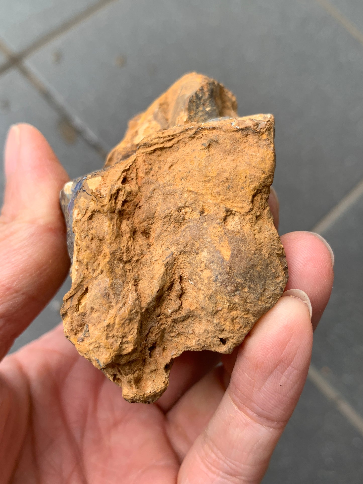 Purple Glow + Free Rock. Rough Boulder Opal. 296 Grams.