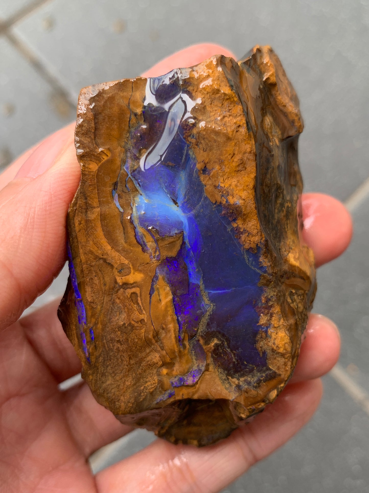 Purple Glow + Free Rock. Rough Boulder Opal. 296 Grams.