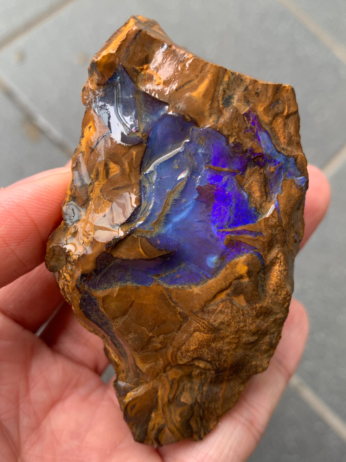 Purple Glow + Free Rock. Rough Boulder Opal. 296 Grams.