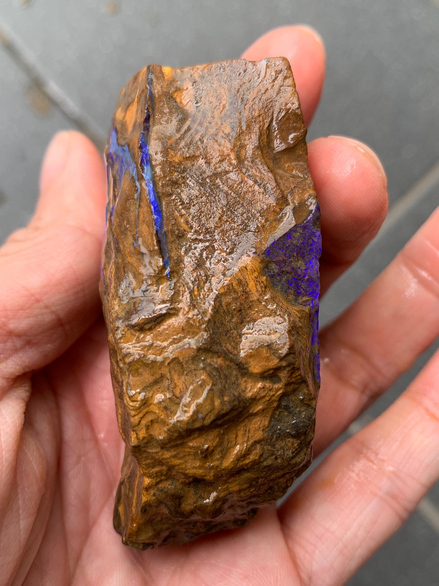 Purple Glow + Free Rock. Rough Boulder Opal. 296 Grams.