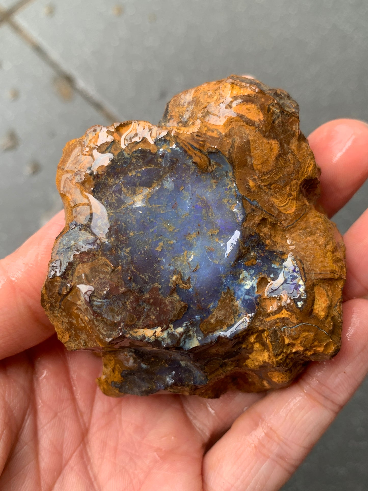 Purple Glow + Free Rock. Rough Boulder Opal. 296 Grams.
