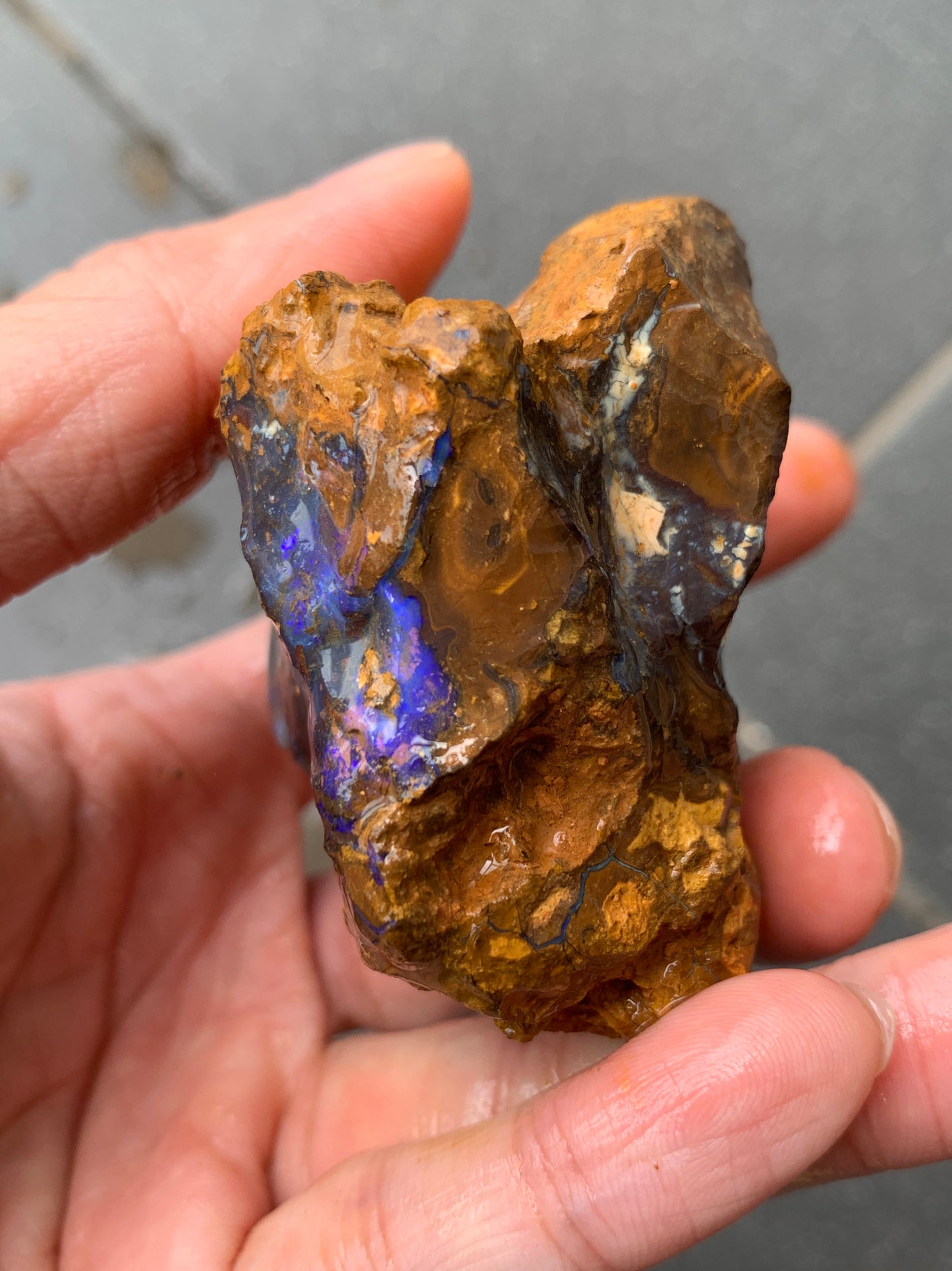 Purple Glow + Free Rock. Rough Boulder Opal. 296 Grams.