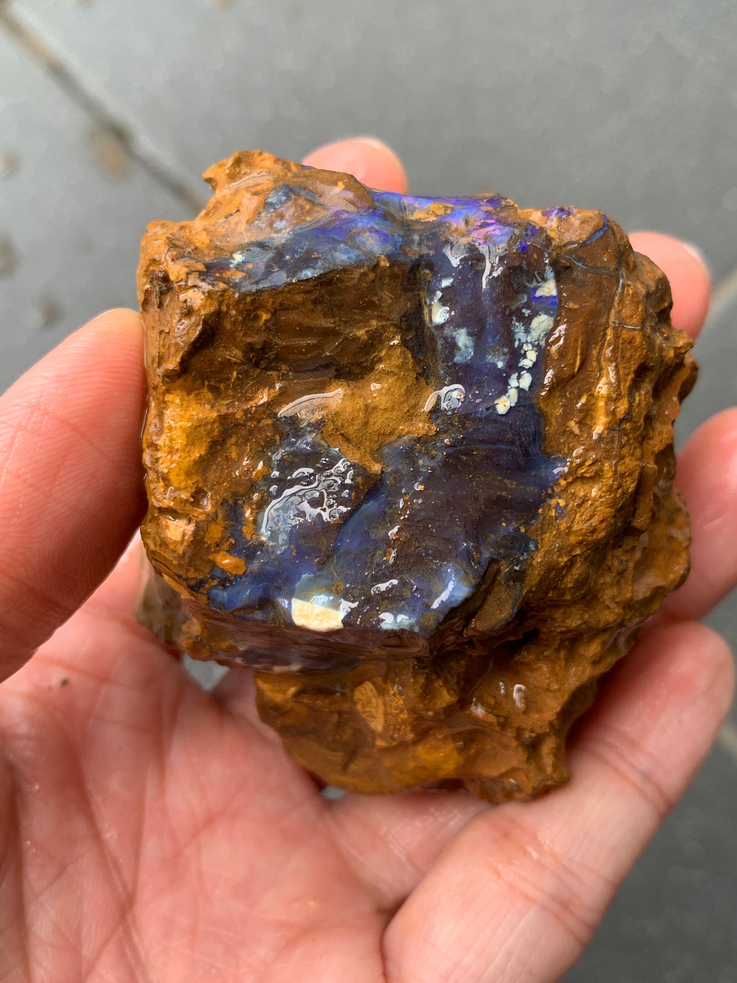 Purple Glow + Free Rock. Rough Boulder Opal. 296 Grams.