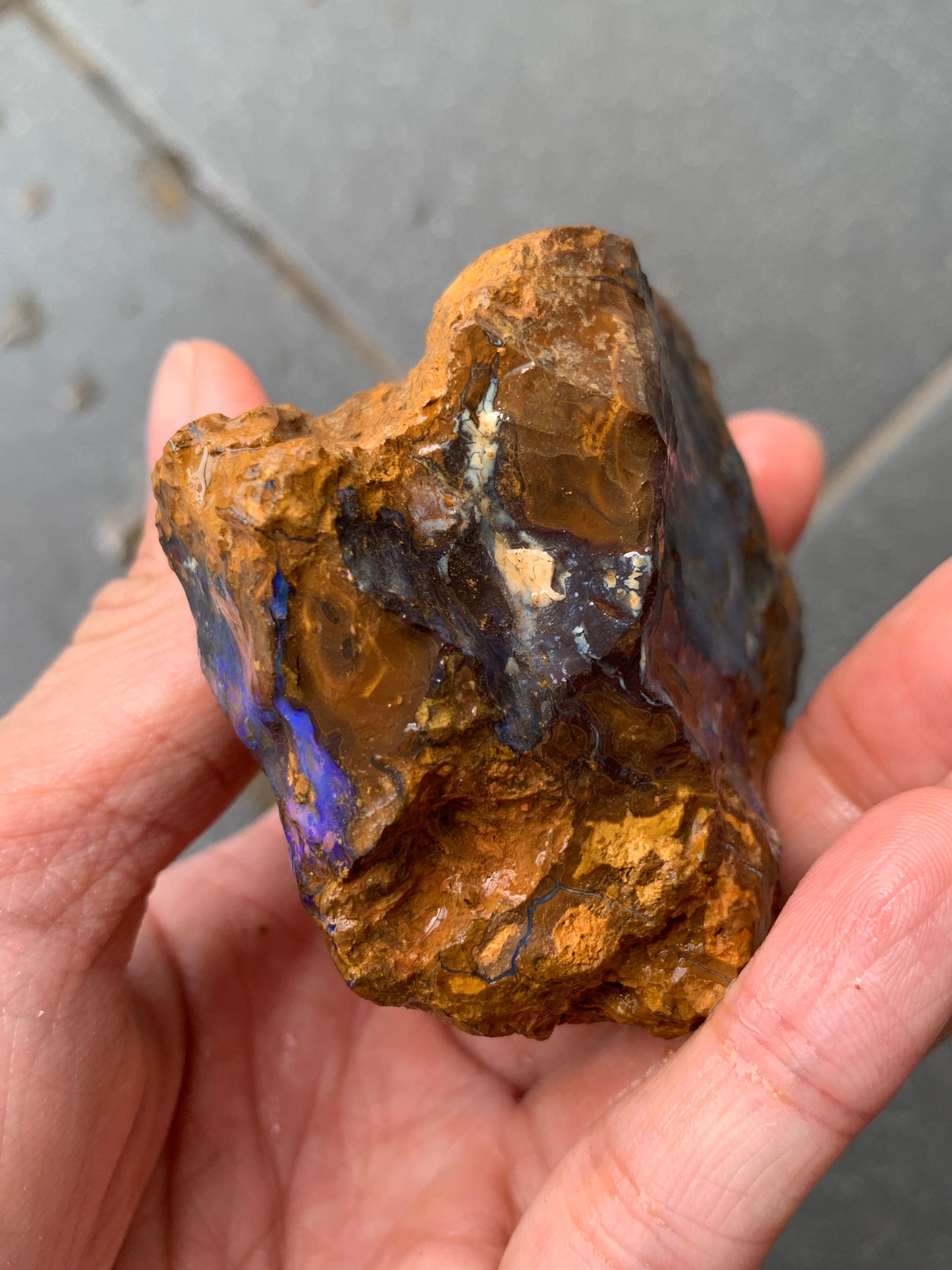 Purple Glow + Free Rock. Rough Boulder Opal. 296 Grams.