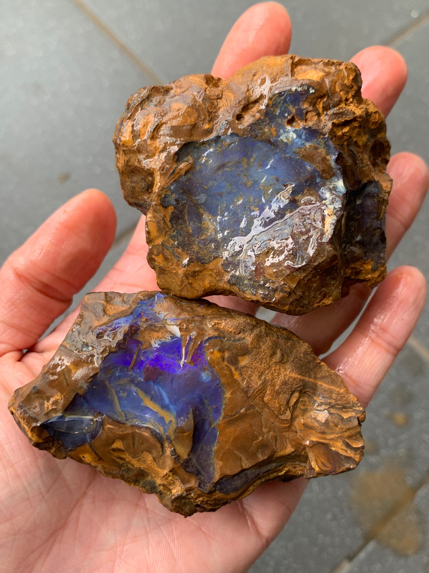Purple Glow + Free Rock. Rough Boulder Opal. 296 Grams.
