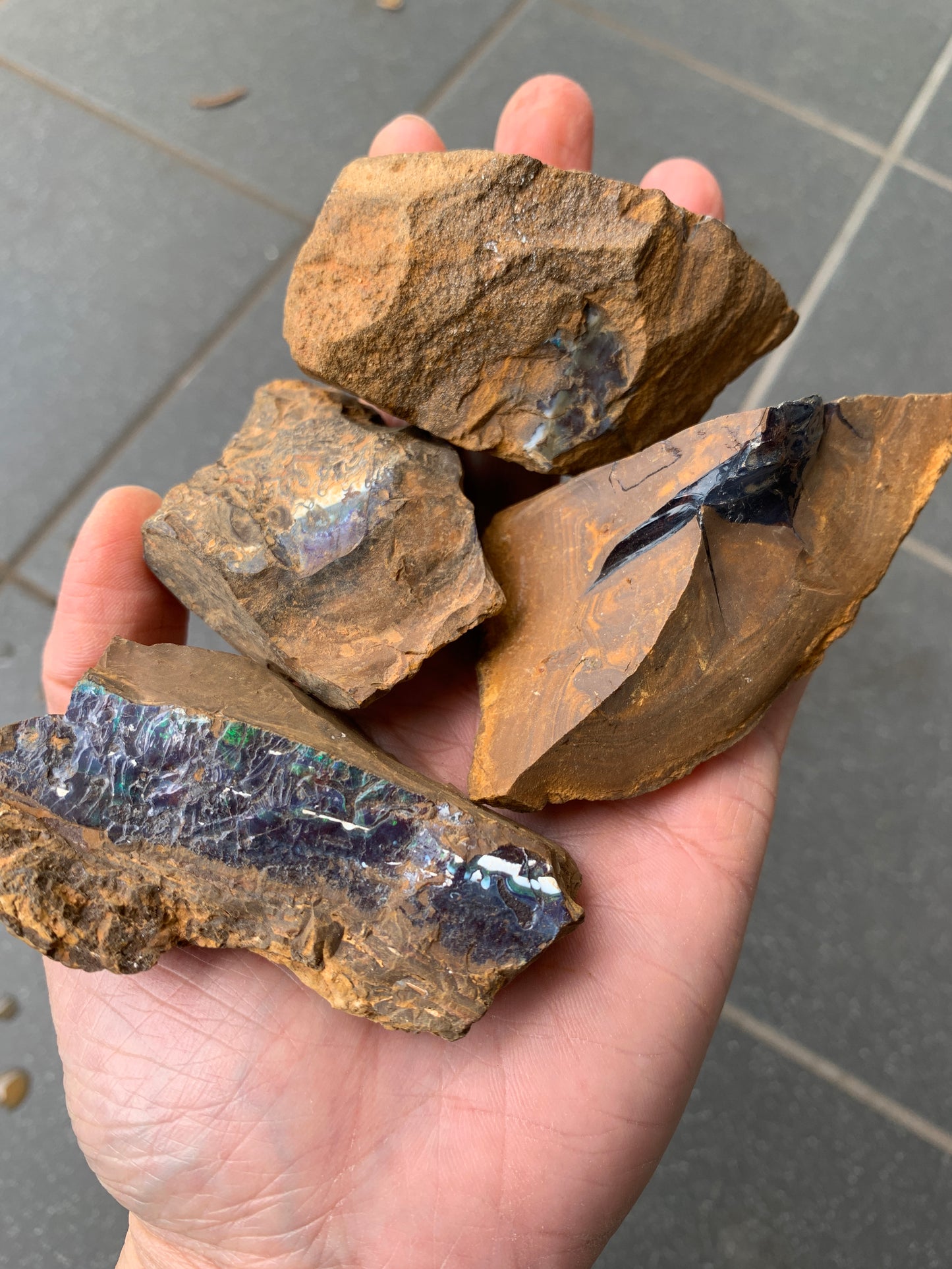 Black Boulder Set. Rough Boulder Opal Rocks. 367 Grams.