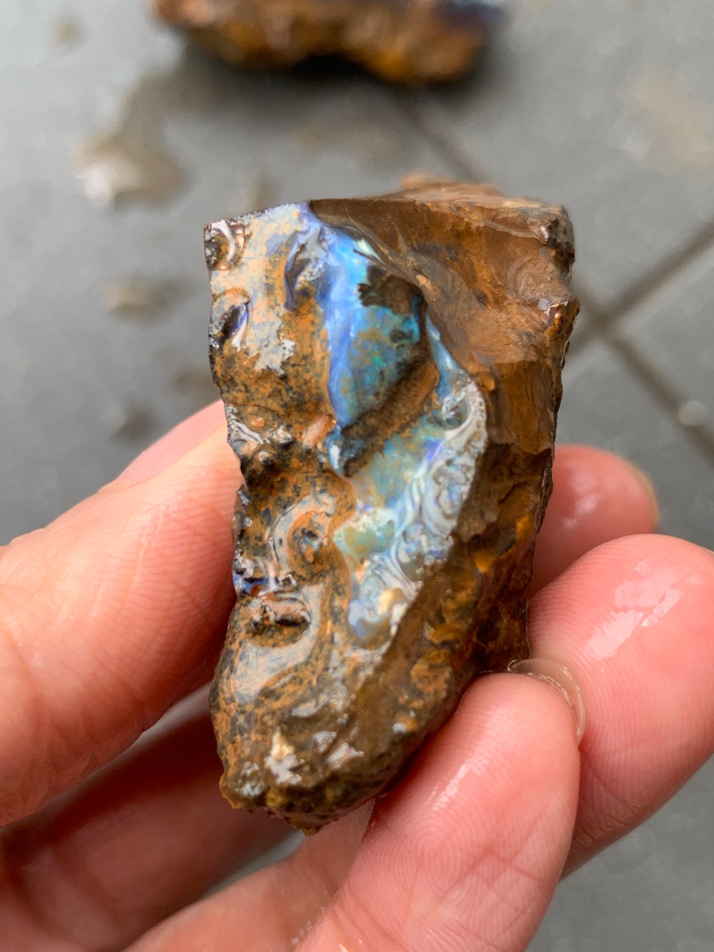 Black Boulder Set. Rough Boulder Opal Rocks. 367 Grams.